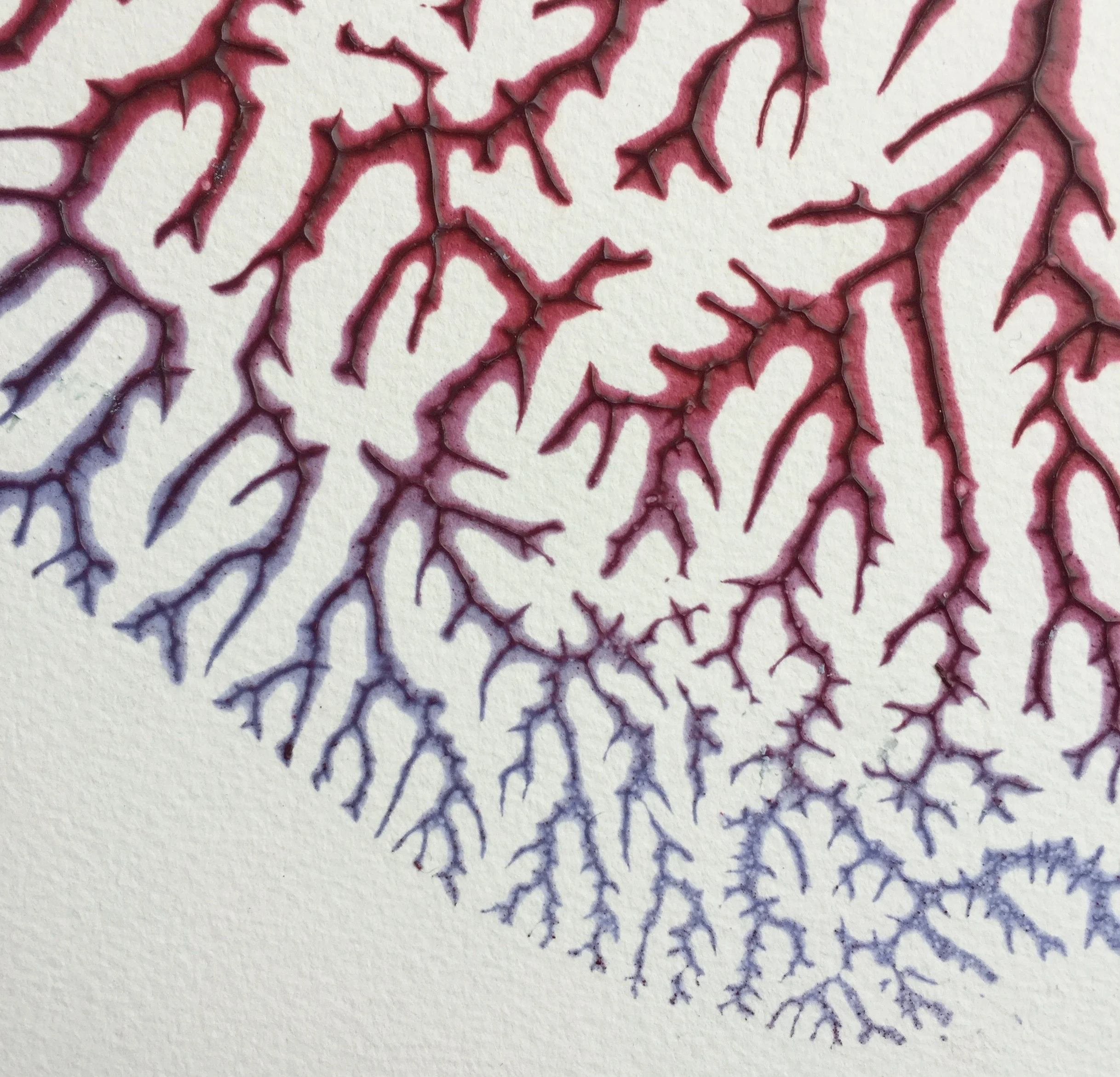  Detail of   Mutable Matter   after exposure to the sun. The bottom half is turning blue as the red pigment fades, the top half will turn red as the blue pigment fades. 