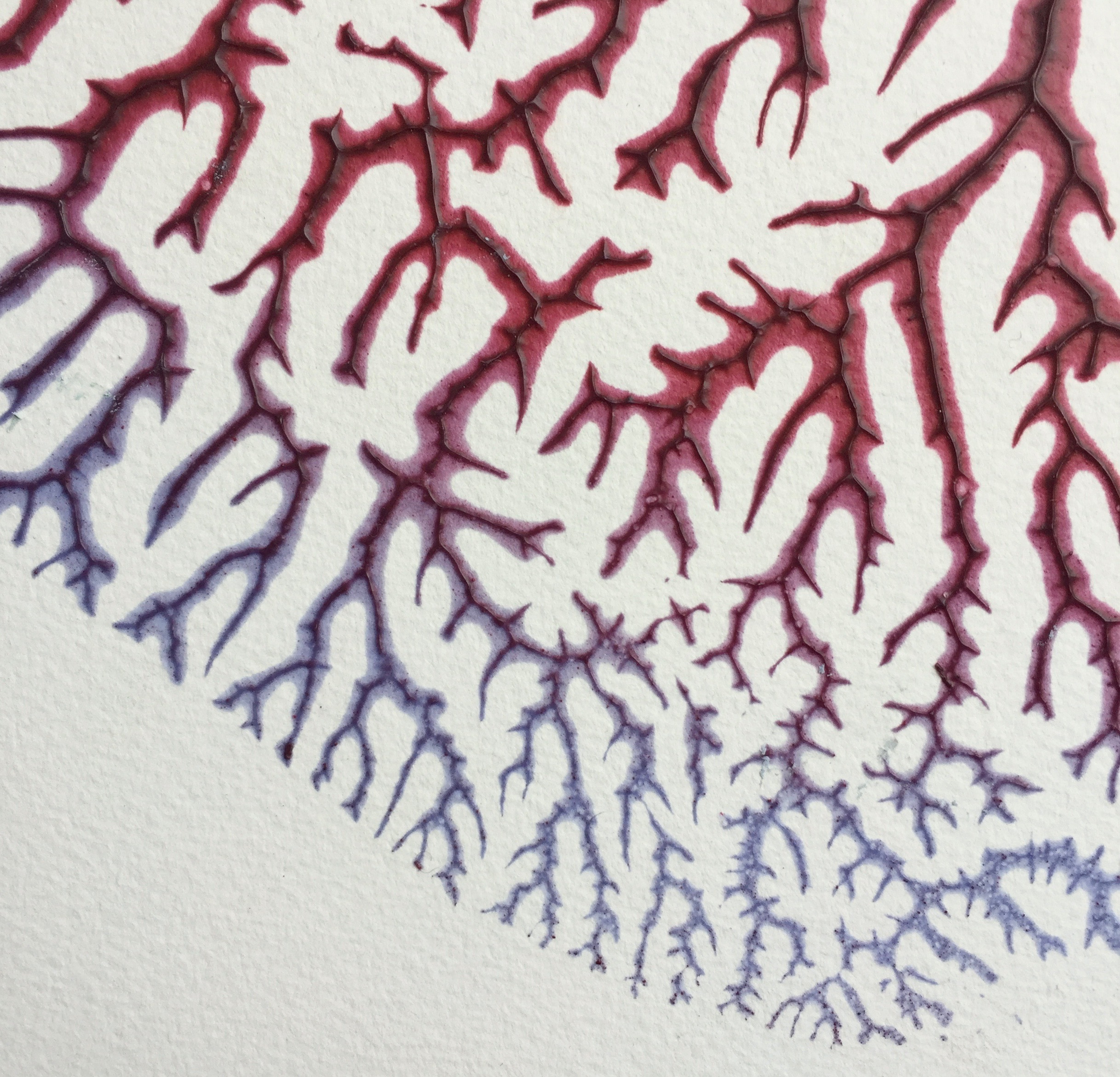 Detail of Mutable Matter after exposure to the sun. The bottom half is turning blue as the red pigment fades, the top half will turn red as the blue pigment fades.