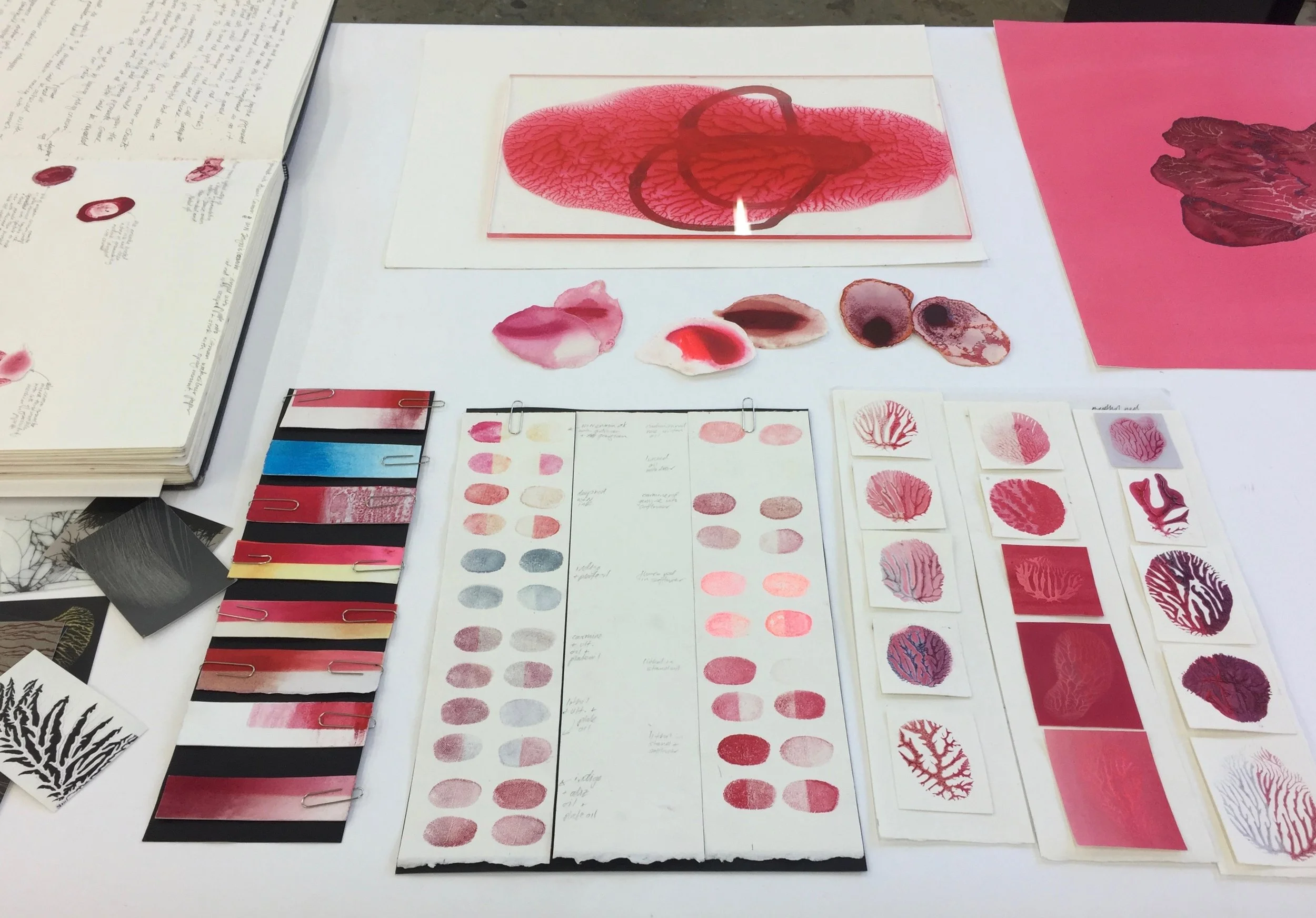 Fading tests made in the light -aging unit in the Colart labs to see how quickly some of the pigments will fade.