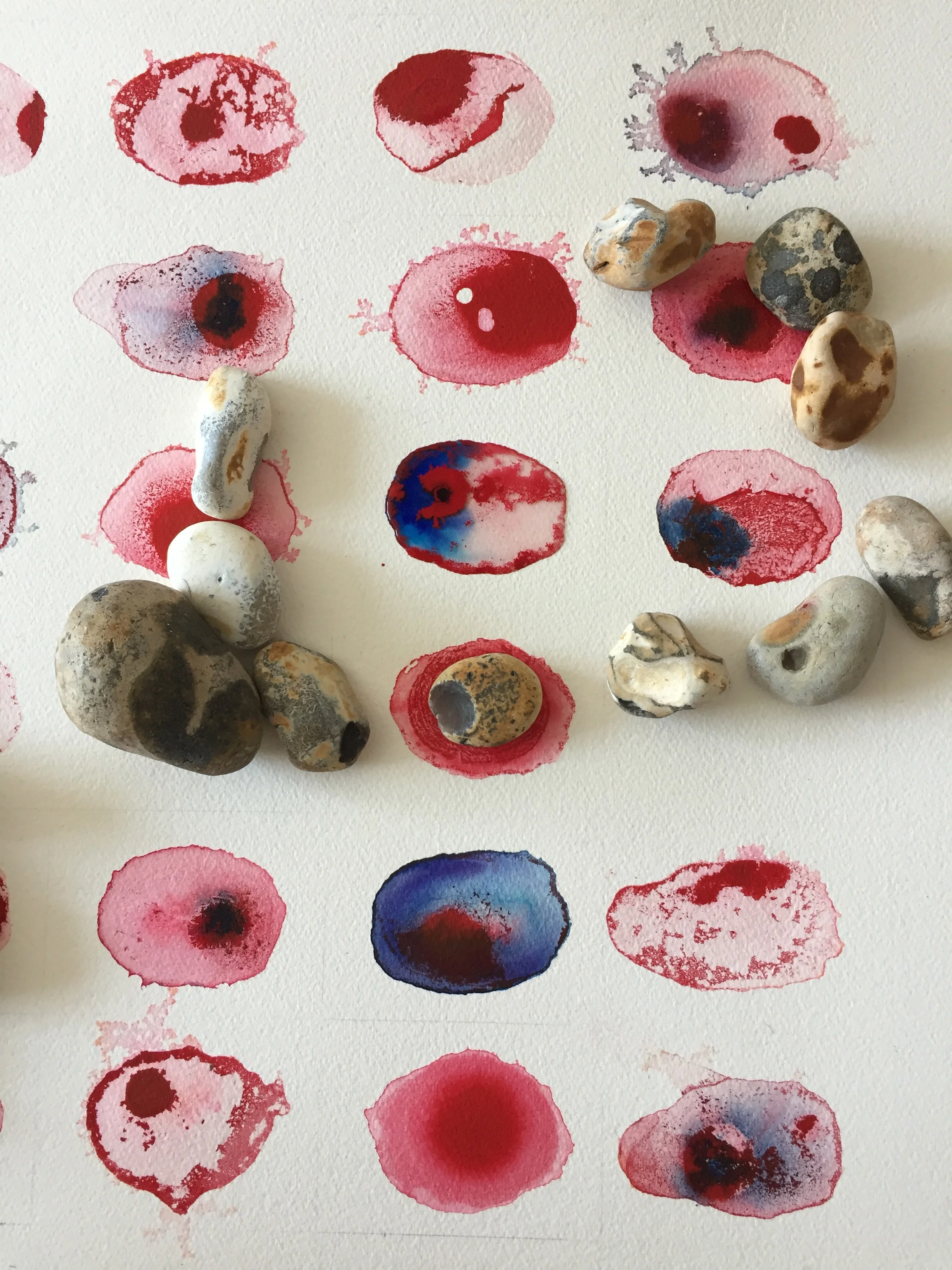   Work in progress on  Vital Matter  2017.  Pebbles weight the paper flat, as paint is dropped into a pool of water. A process repeated 30 times with different combinations of pigment, some fugitive and some permanent. some cells will fade, some chan