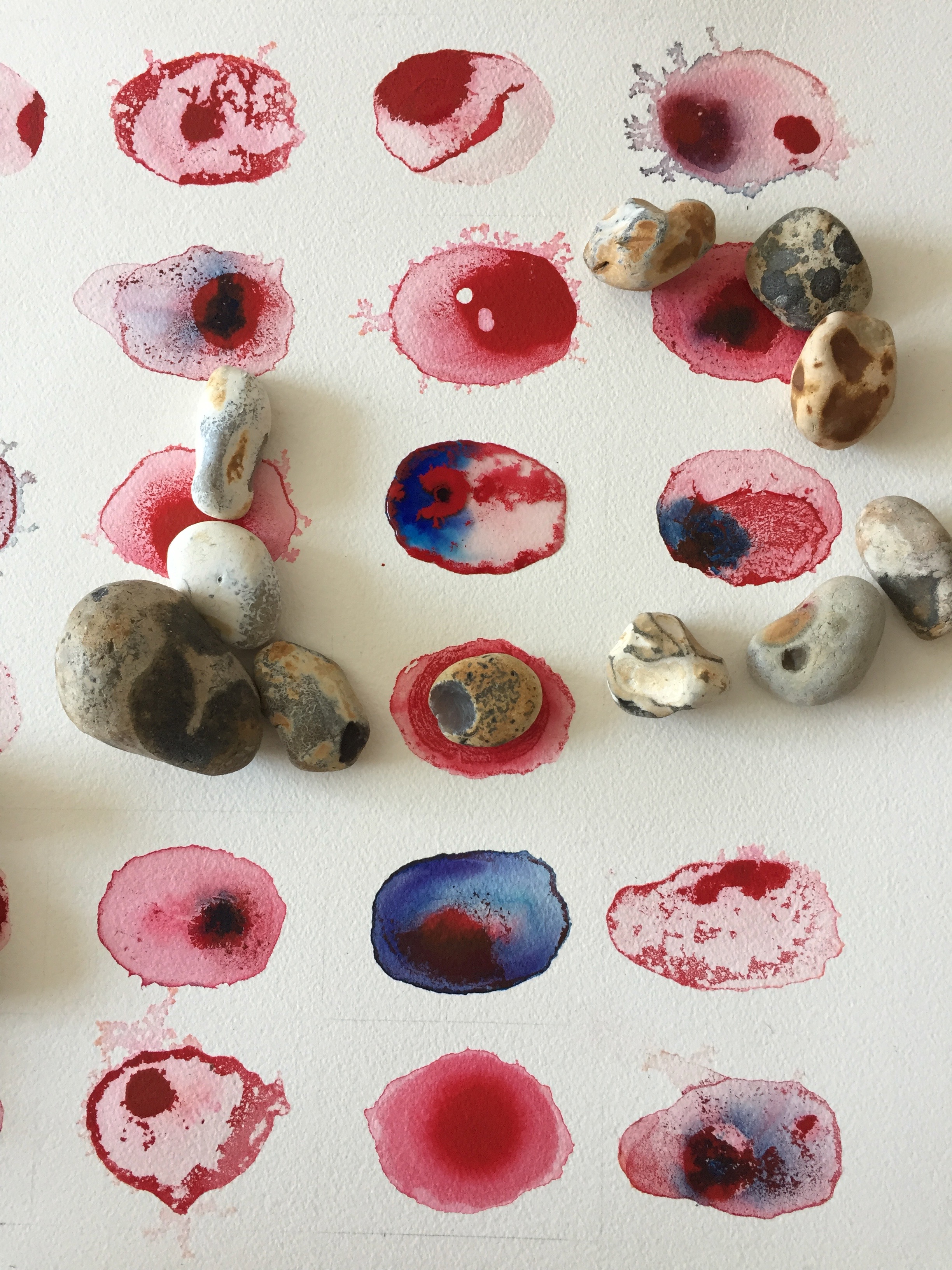 Work in progress on Vital Matter 2017. Pebbles weight the paper flat, as paint is dropped into a pool of water. A process repeated 30 times with different combinations of pigment, some fugitive and some permanent. some cells will fade, some change colour and some stay stable.