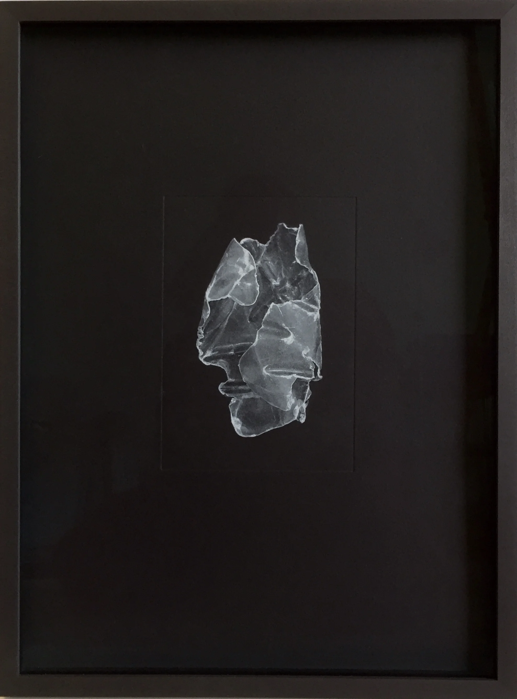 Pelagic+Plastic+1+framed+in+black+wood+frame+with+Low+reflecting+glass.++jpg.jpg