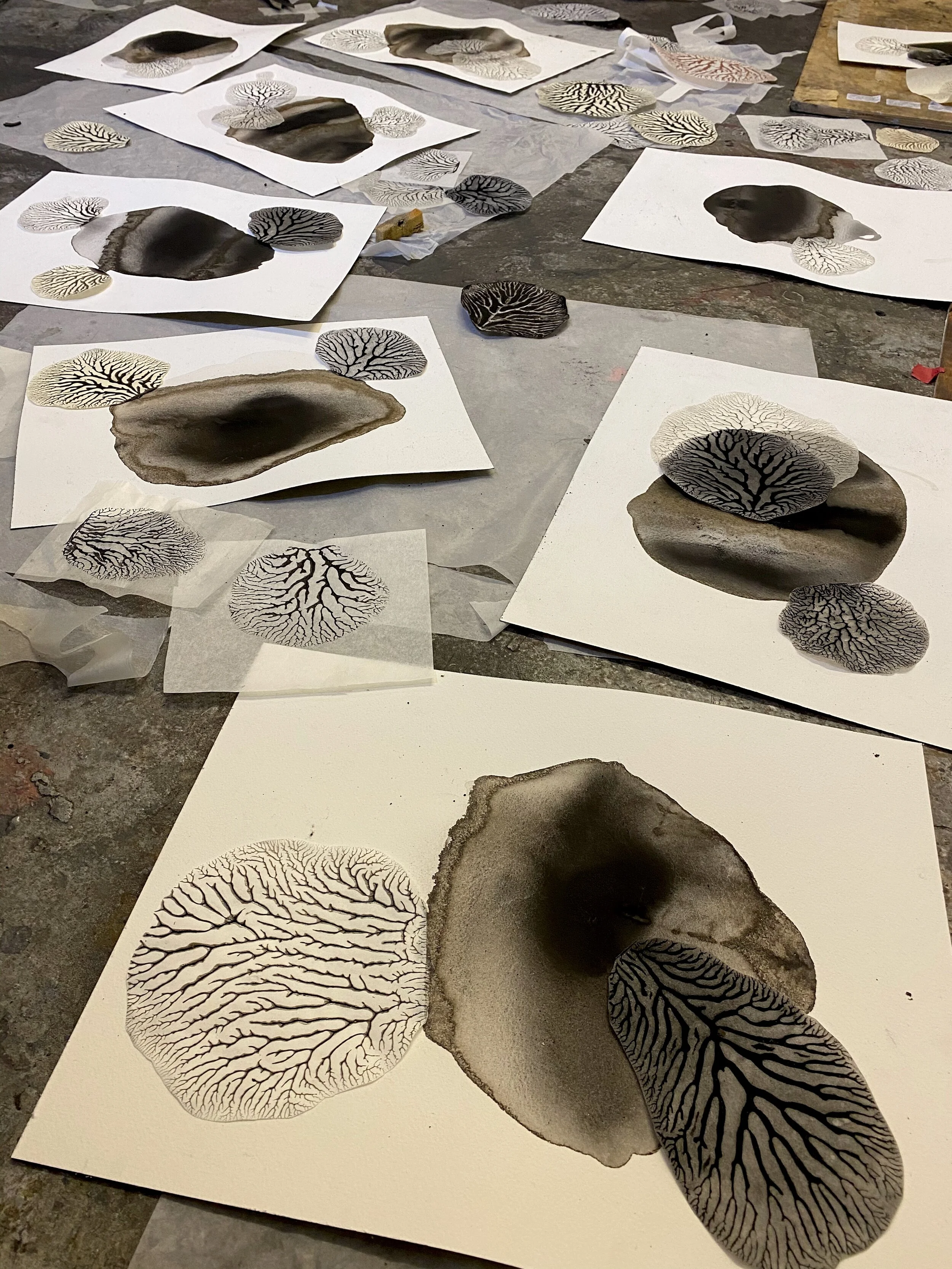 My studio floor during the making of the Carboniferous collages