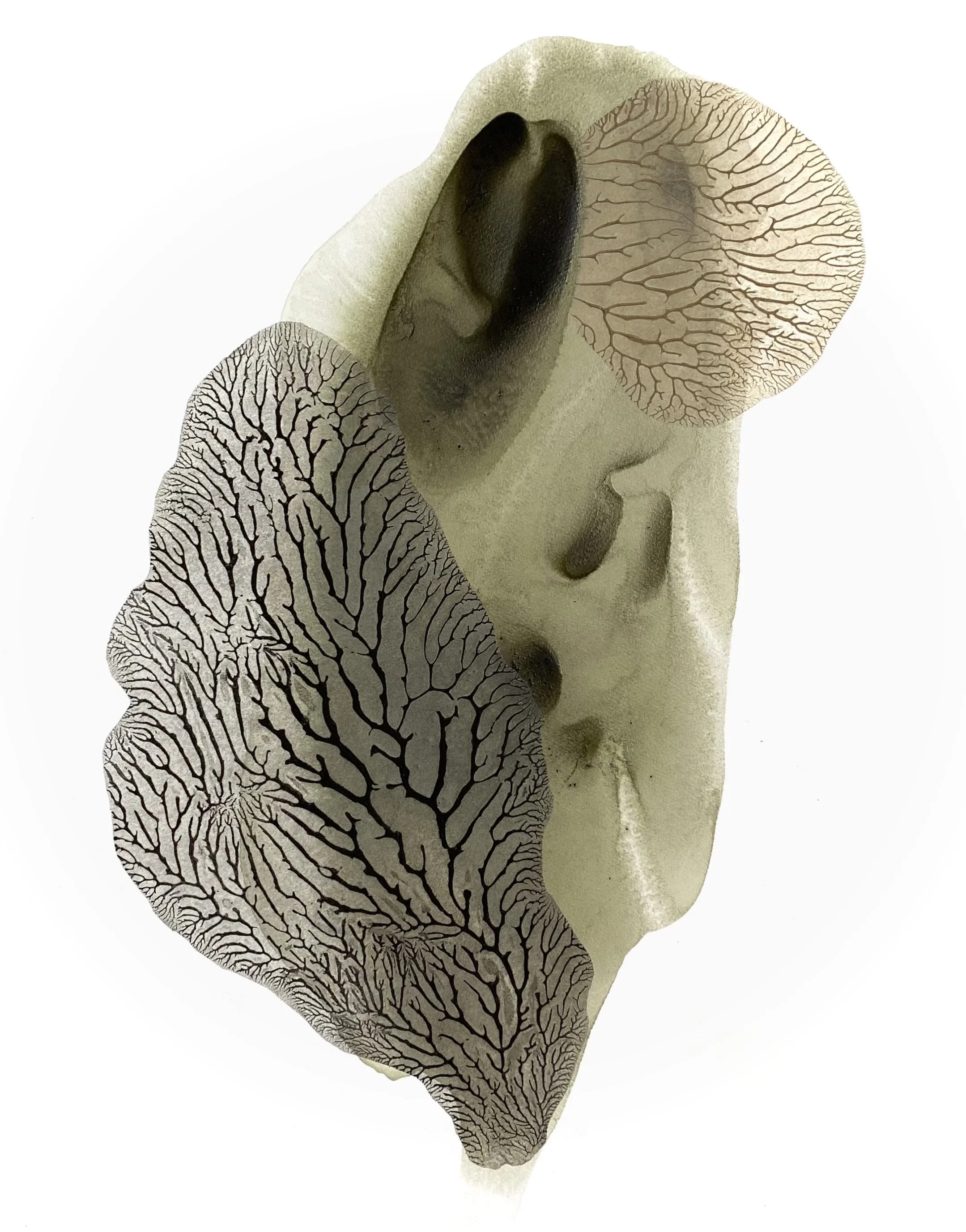 Out of the House (nettle, soot and earth)