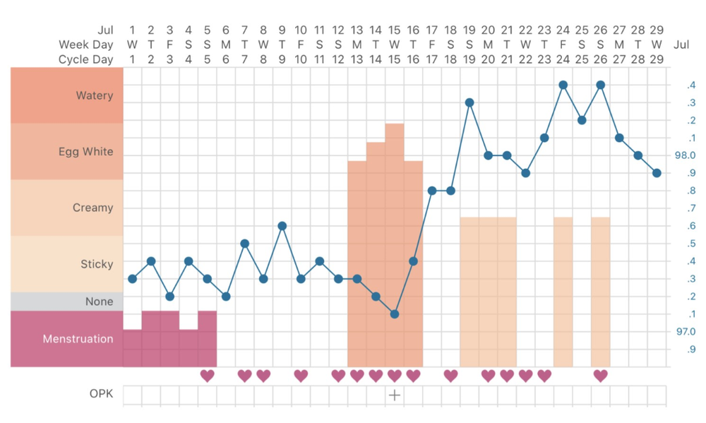 Guide To Fertility Charting Basal Body Temperature Fe vrogue.co