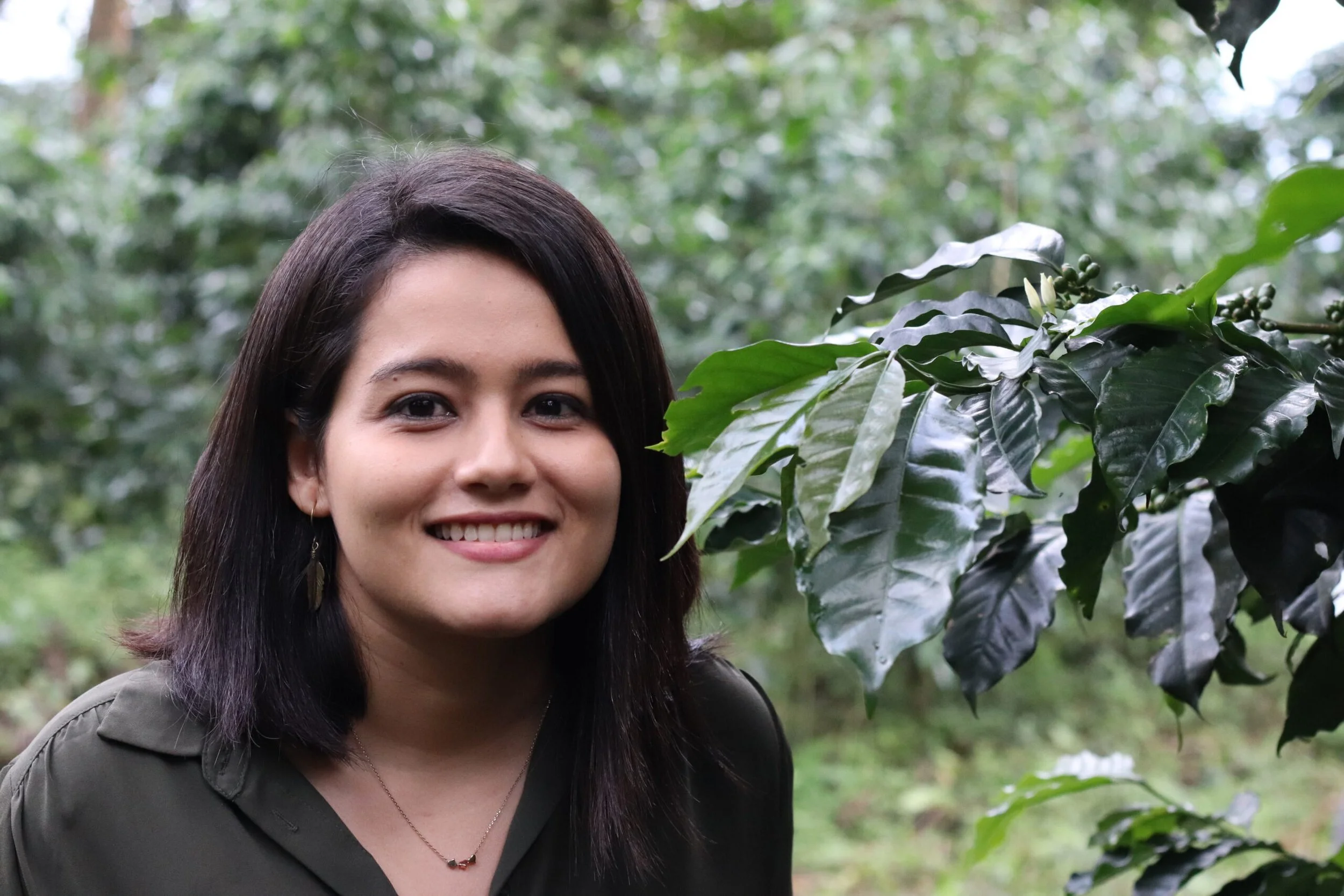 El Cuervo Geisha: Cup of Excellence #7 Award-Winning Specialty Coffee El Cuervo Geisha: Cup of Excellence #7 Award-Winning Specialty Coffee