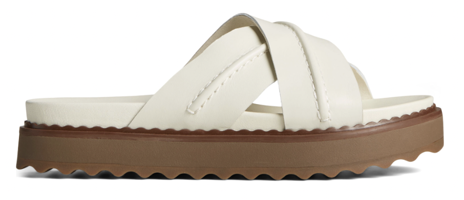 Screen Shot 2024-02-13 at 1.56.55 PM.png