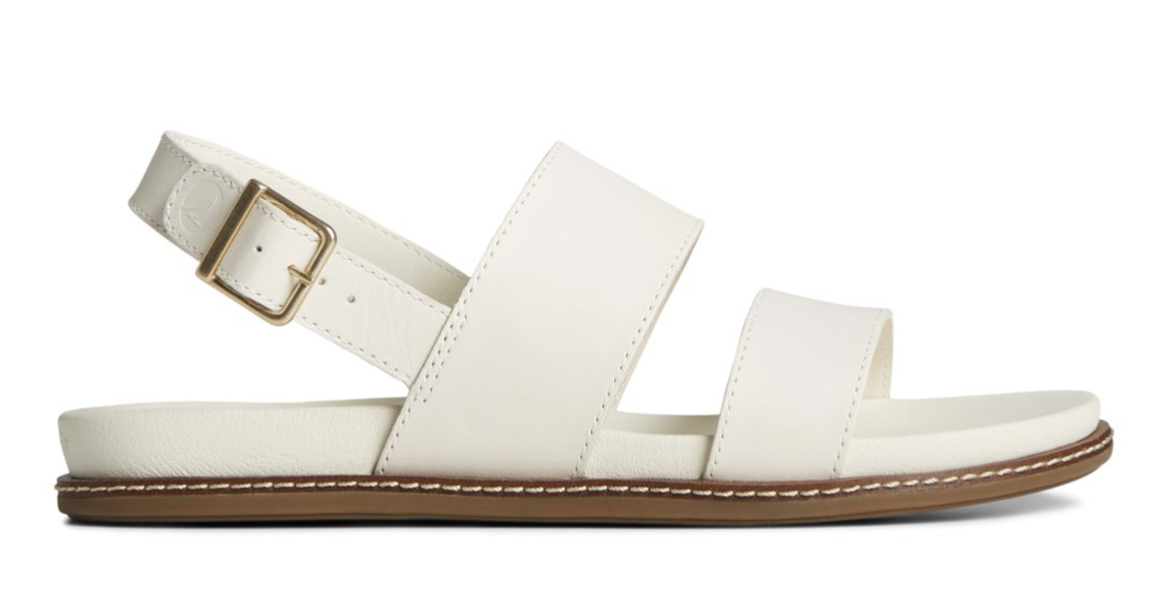 Screen Shot 2024-09-29 at 3.25.25 PM.png