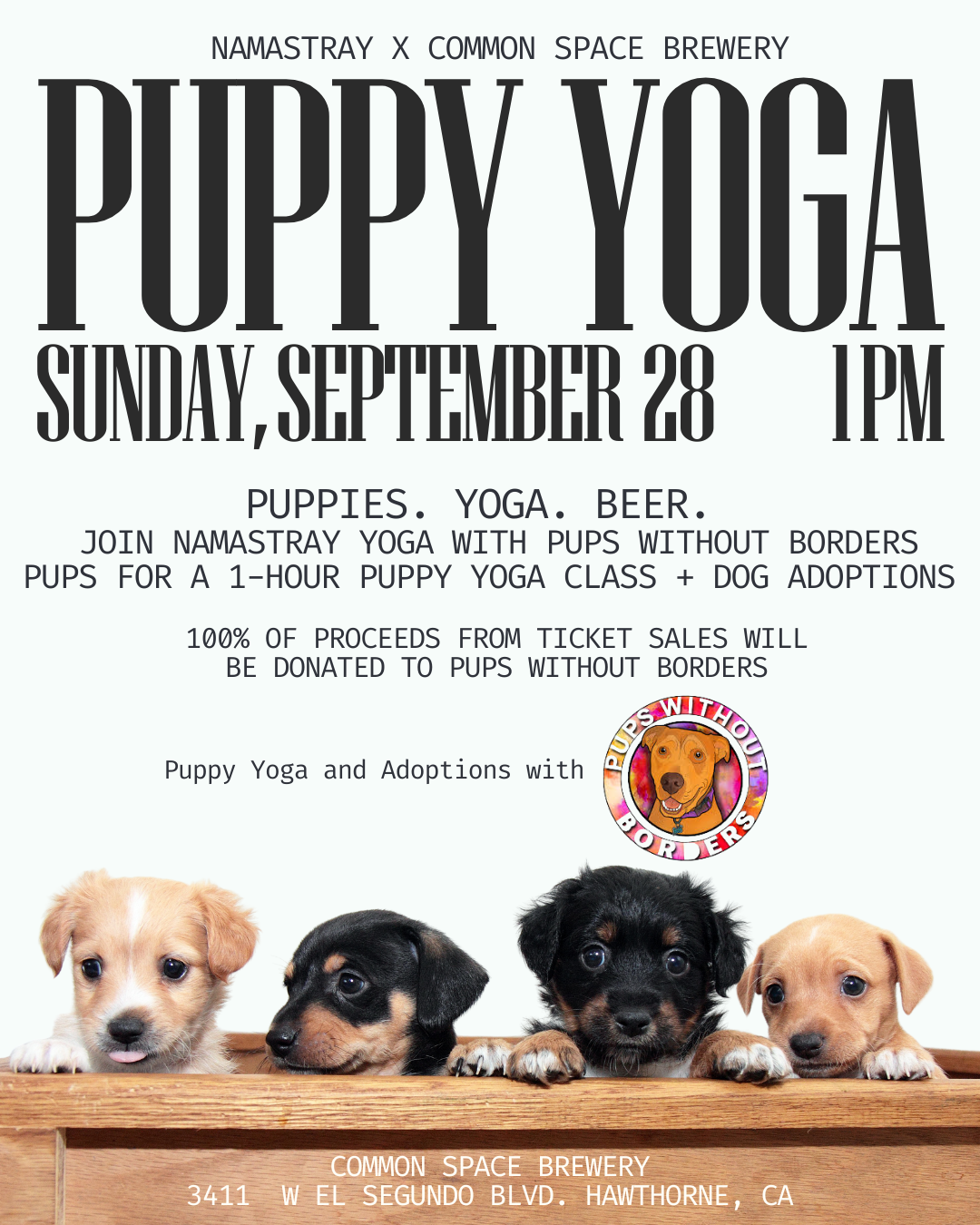 Namastray Puppy Yoga with Pups without Borders