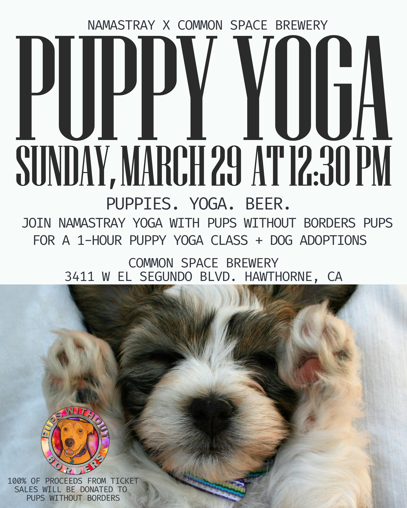 Namastray Puppy Yoga with Pups without Borders