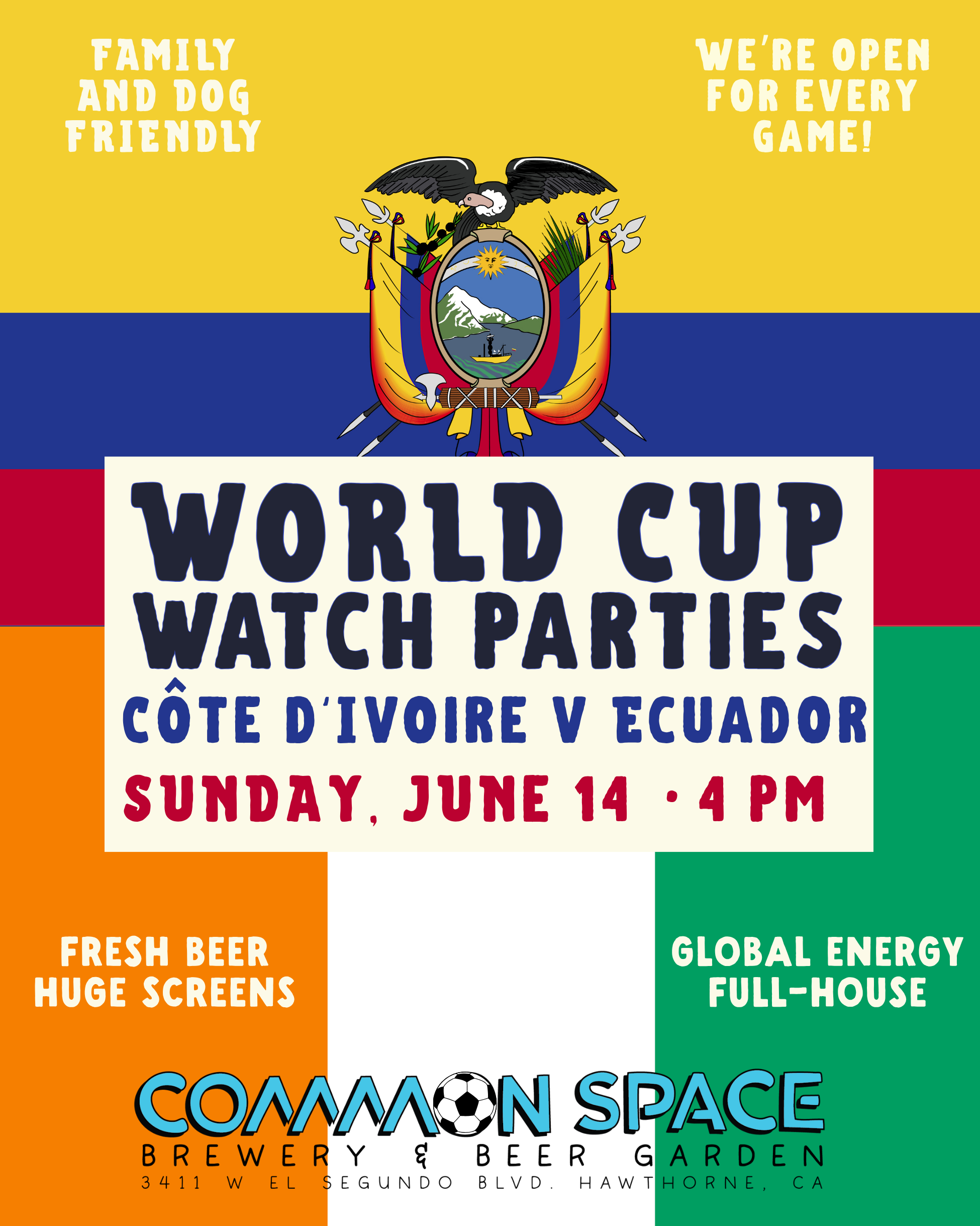 Ivory Coast v Ecuador 
