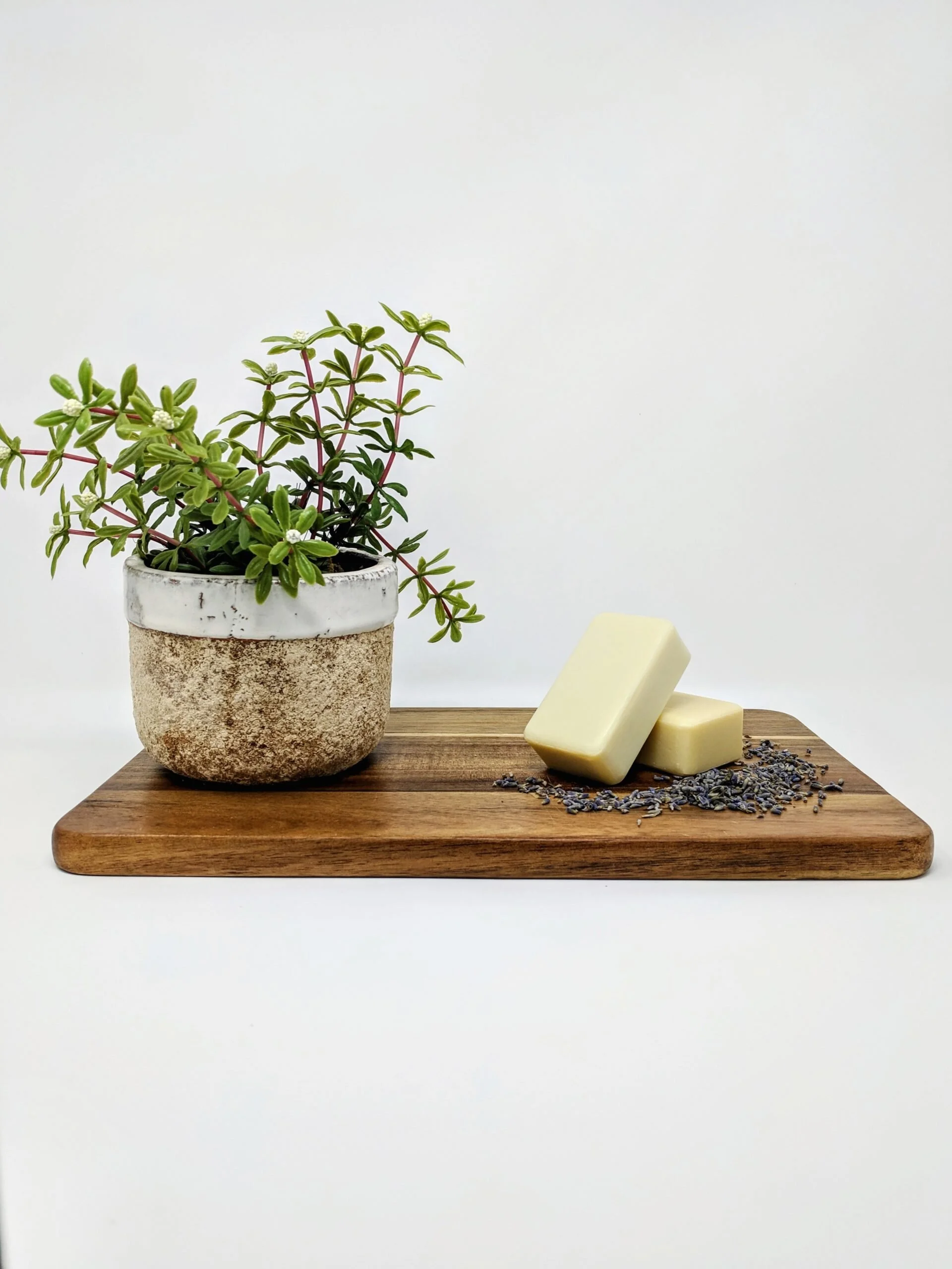 Essential Oil Lotion Bars