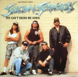 Suicidal Tendencies You Cant Bring Me Down.PNG