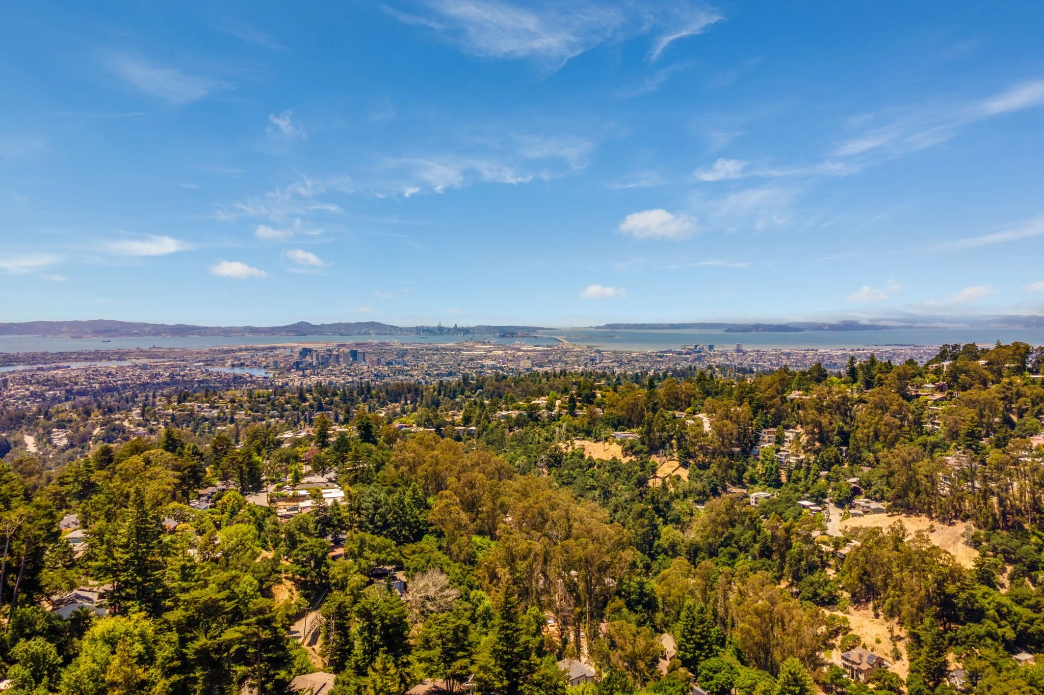 42-web-or-mls-6489 Girvin Dr - Day -42.jpg