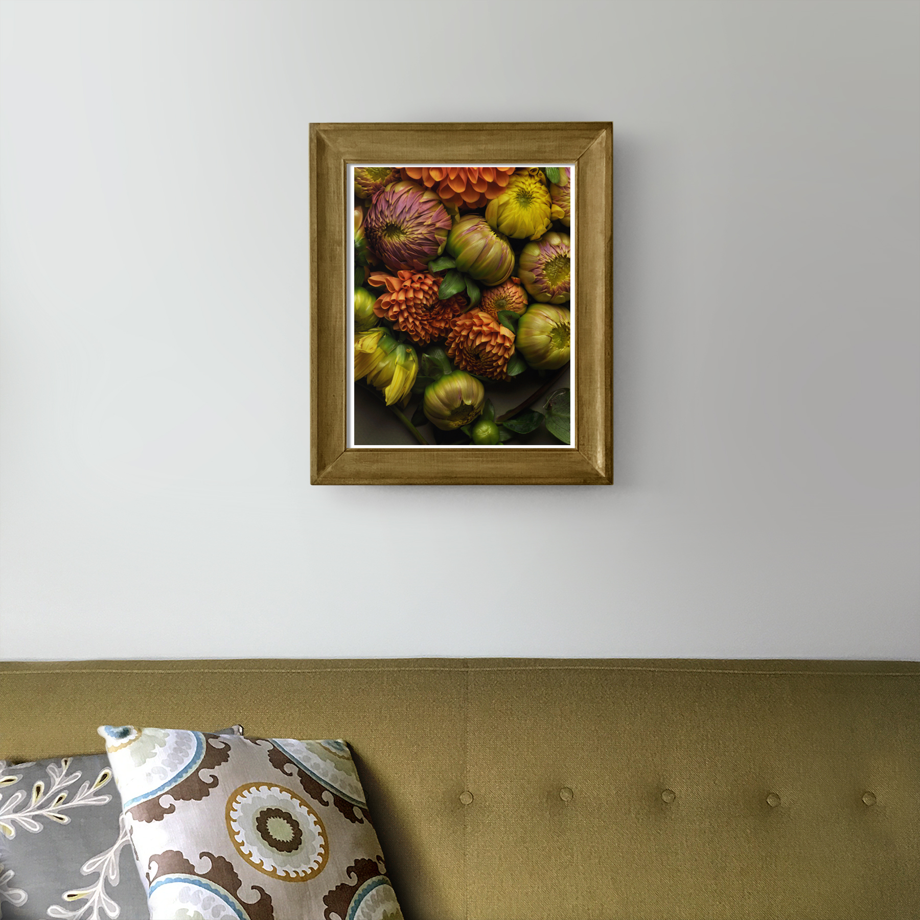 Dahlia Buds in the Living Room