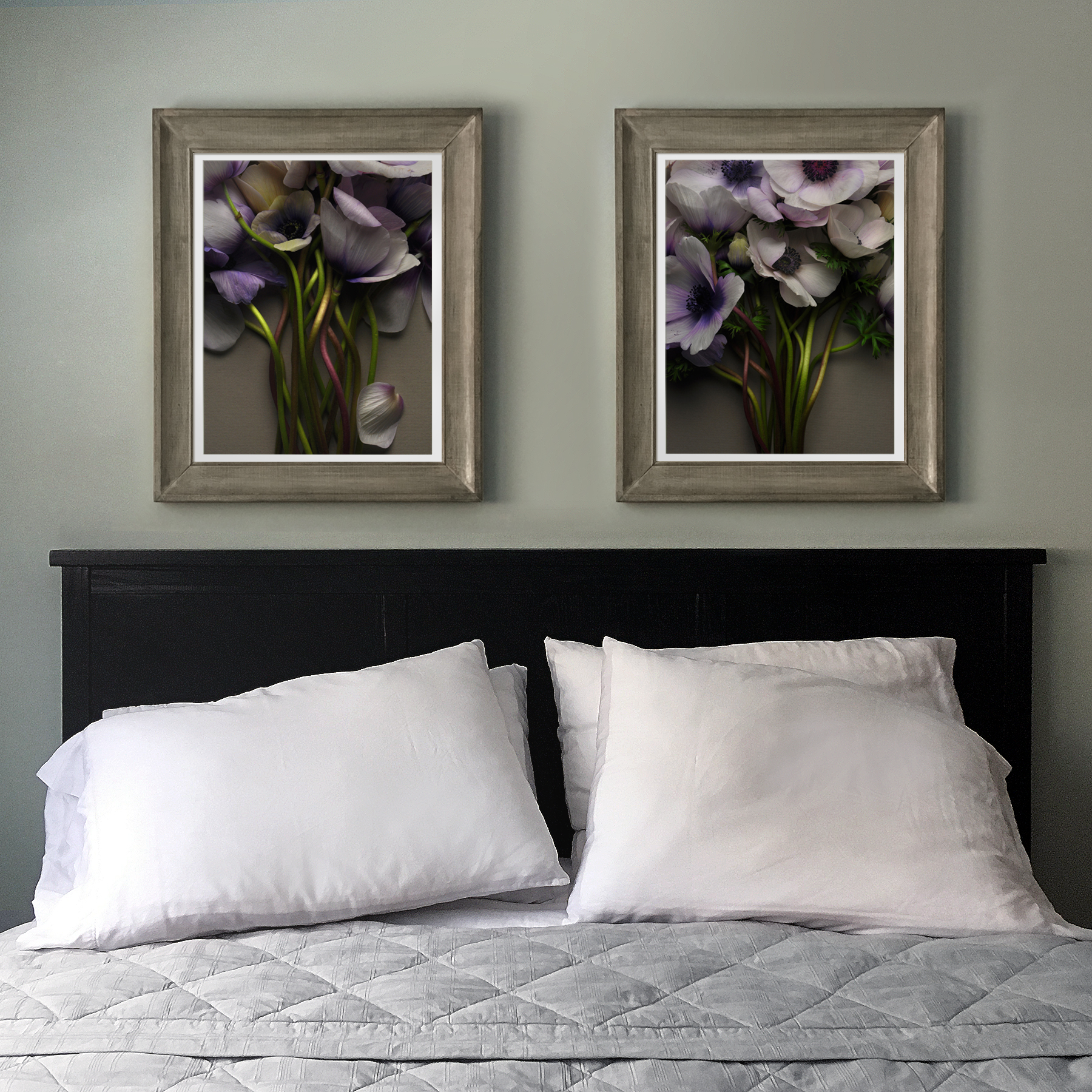 Anemones Over the Bed