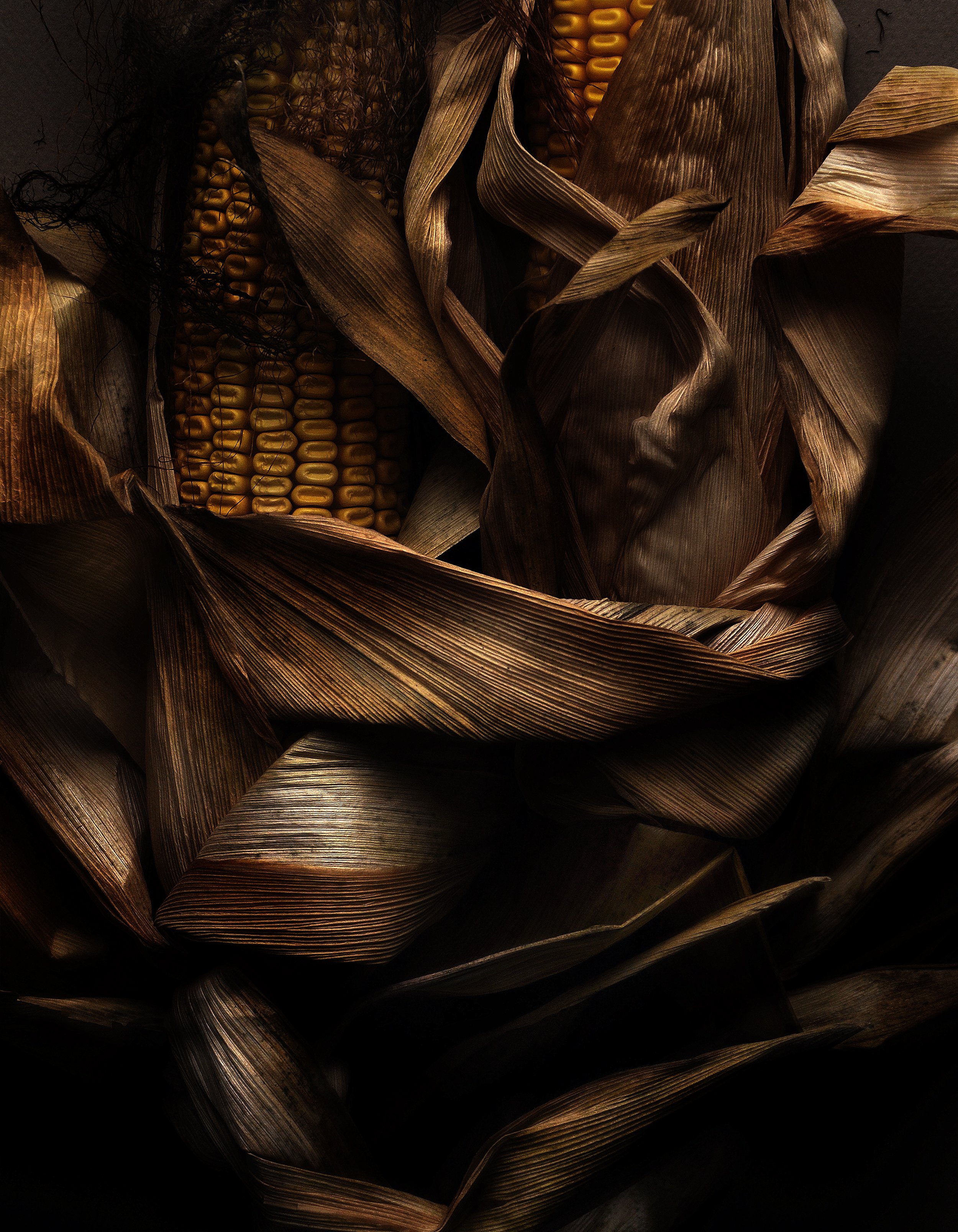 Autumn Corn 19 No 9