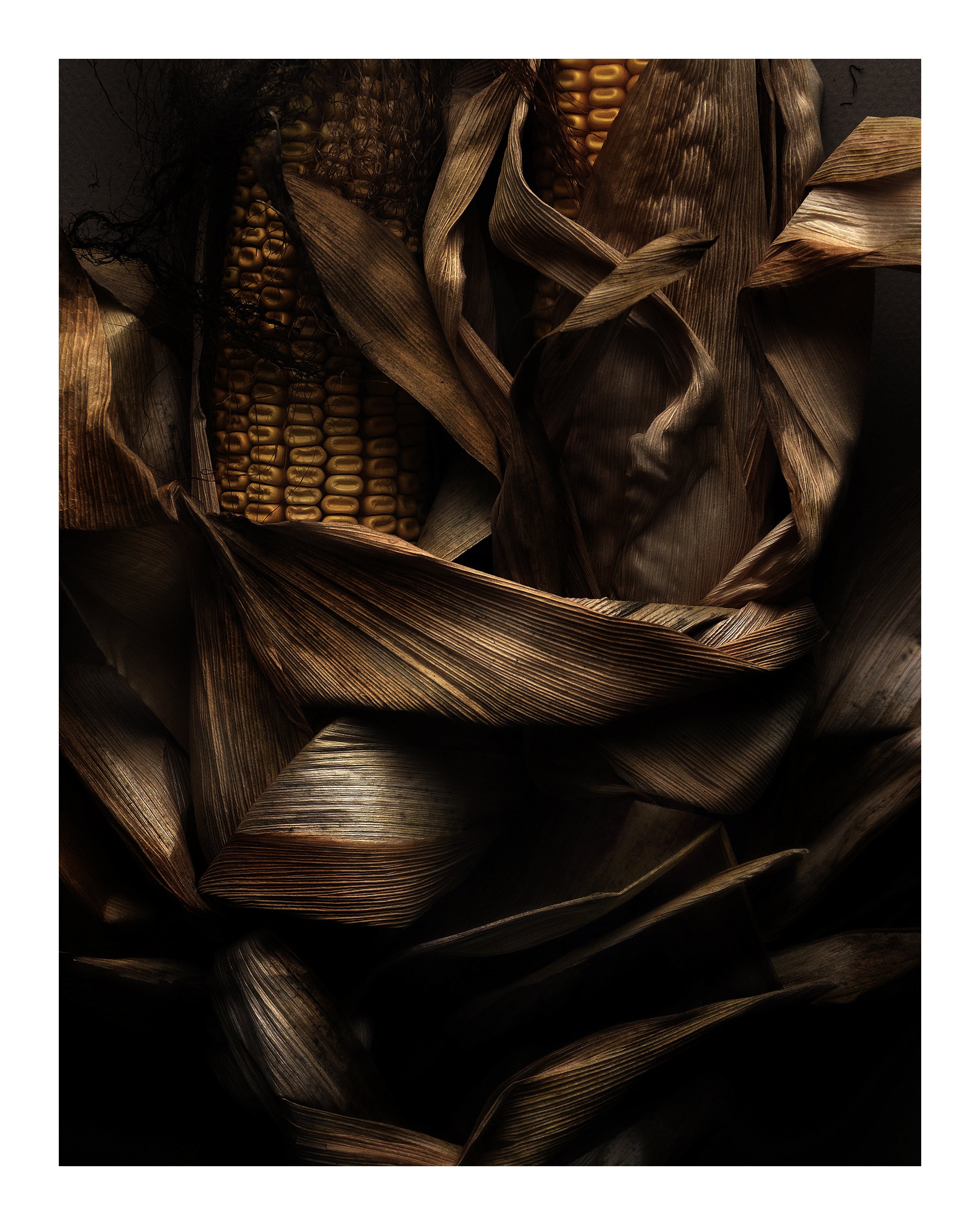 Autumn Corn 19 No 9