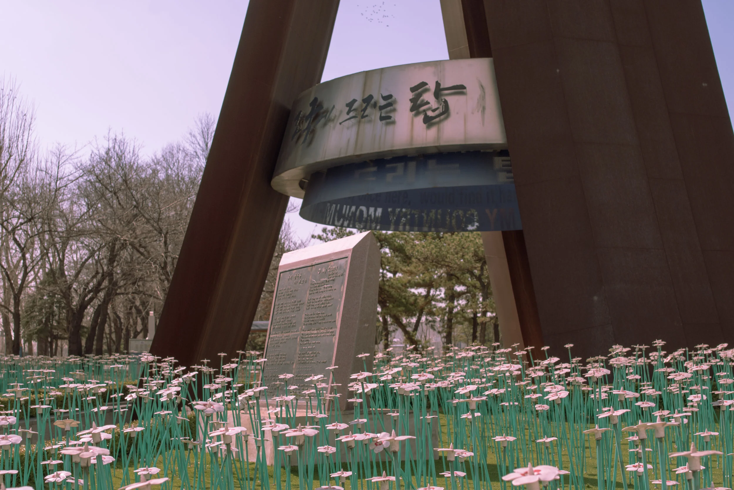 cinematic-11.jpg
