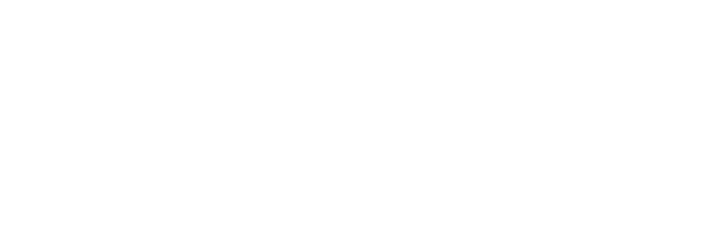 Domino Logo_White.png