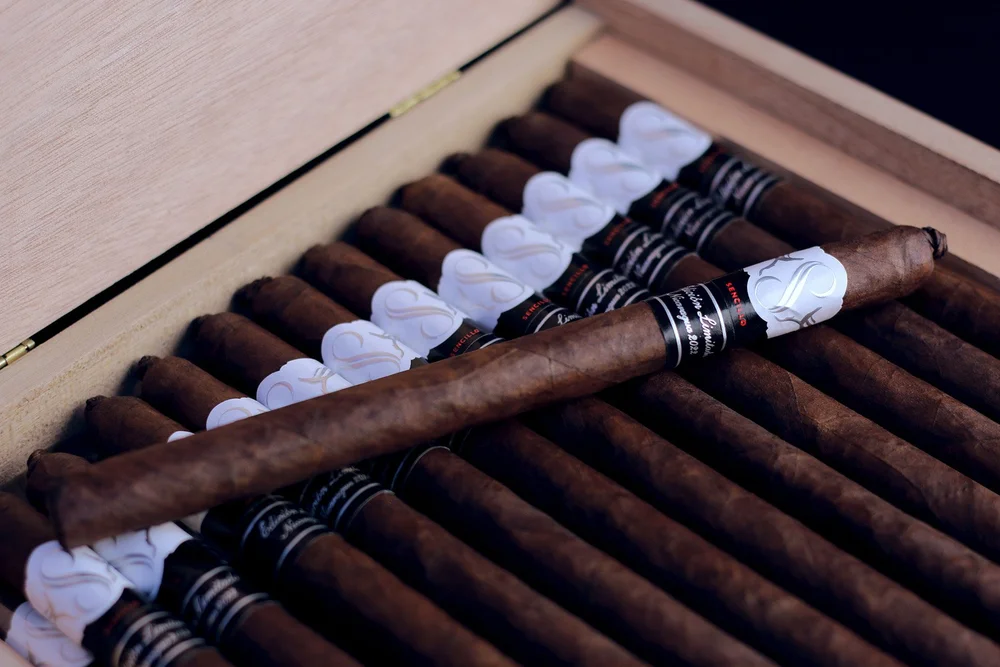 Black & Mild Select Plastic Tip Cigarillos | Thompson Cigar