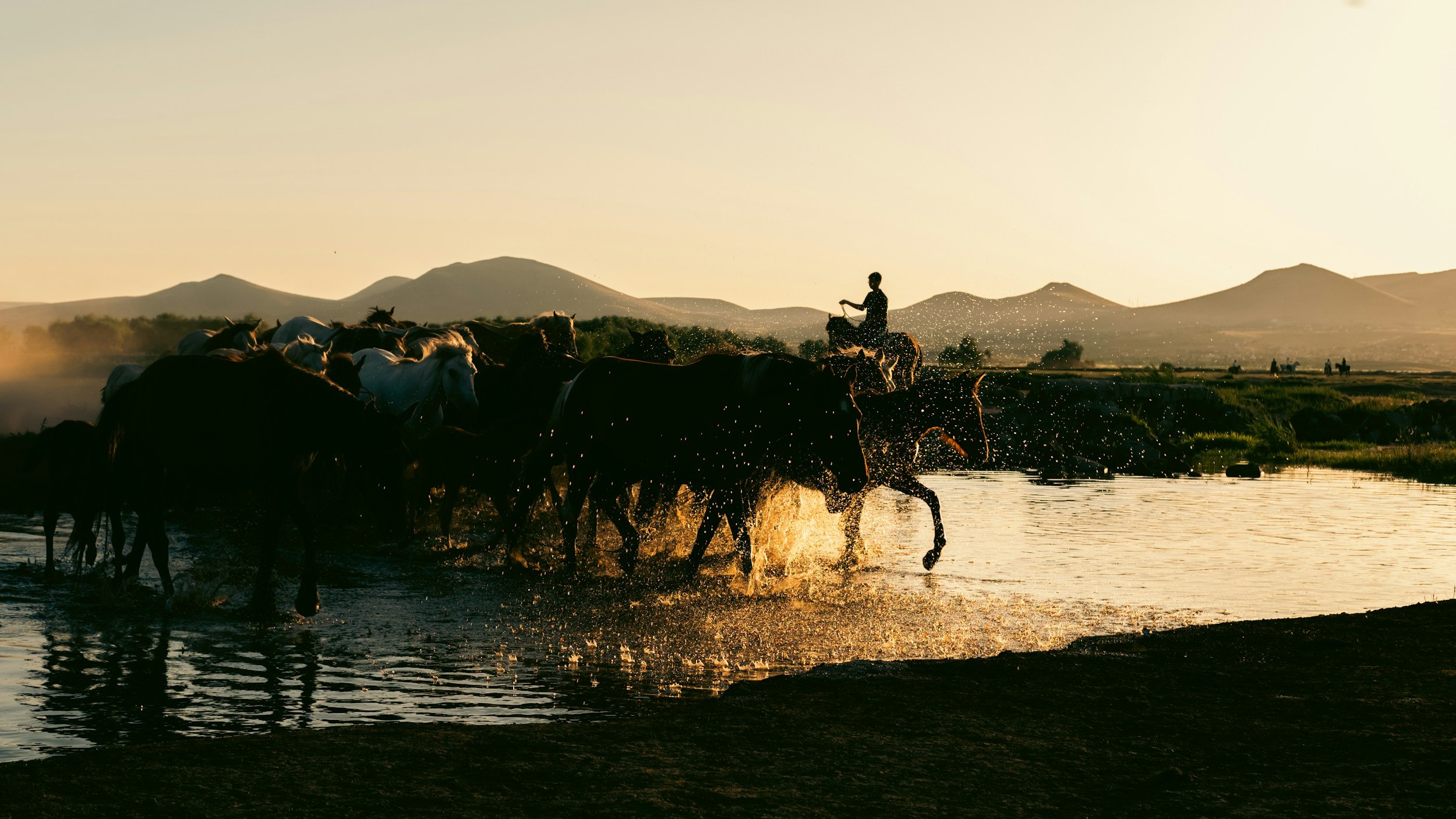 Changing Horses in Midstream