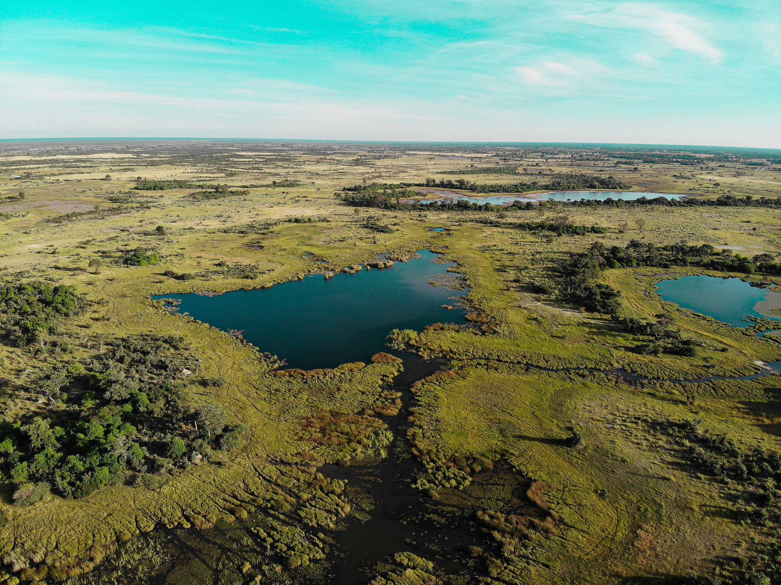 The World Famous Okavango Delta of Botswana