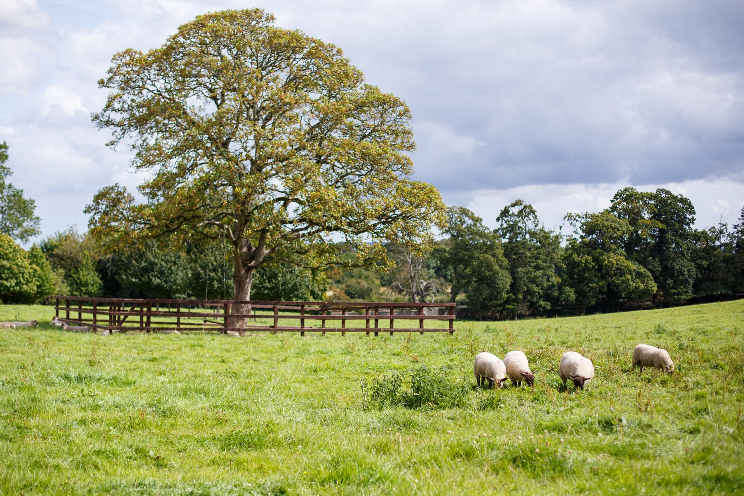 Ballymagarvey-Elisha-Clarke-Photography_0001.jpg
