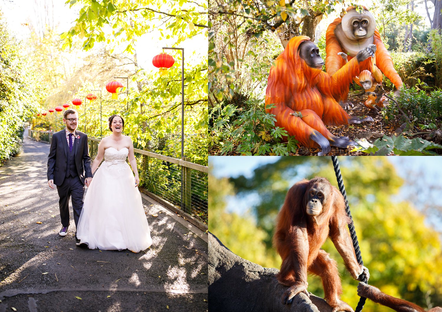 Dublin-Zoo-wedding-Elisha-Clarke-Photography_0127.jpg