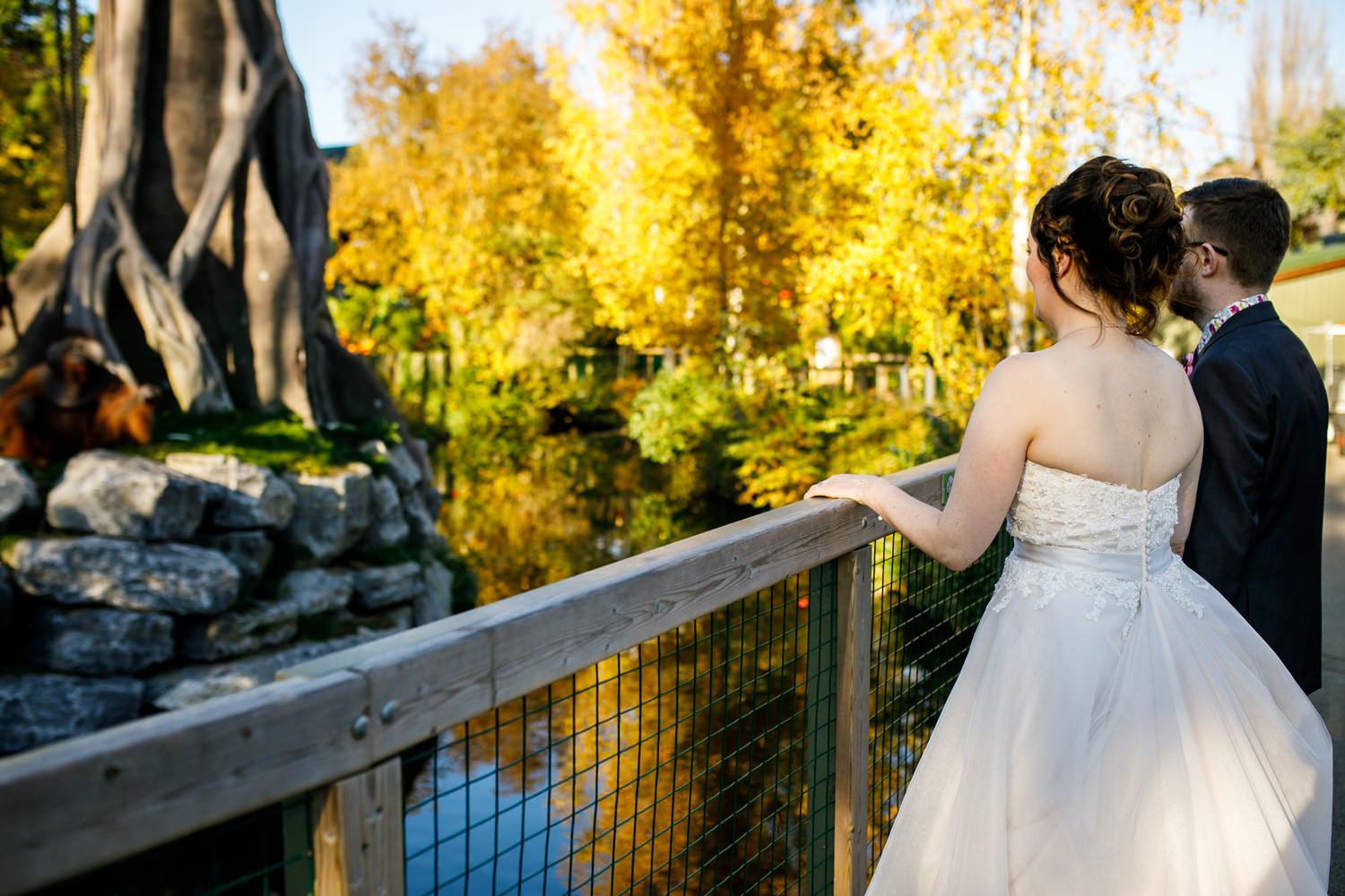 Dublin-Zoo-wedding-Elisha-Clarke-Photography_0132.jpg