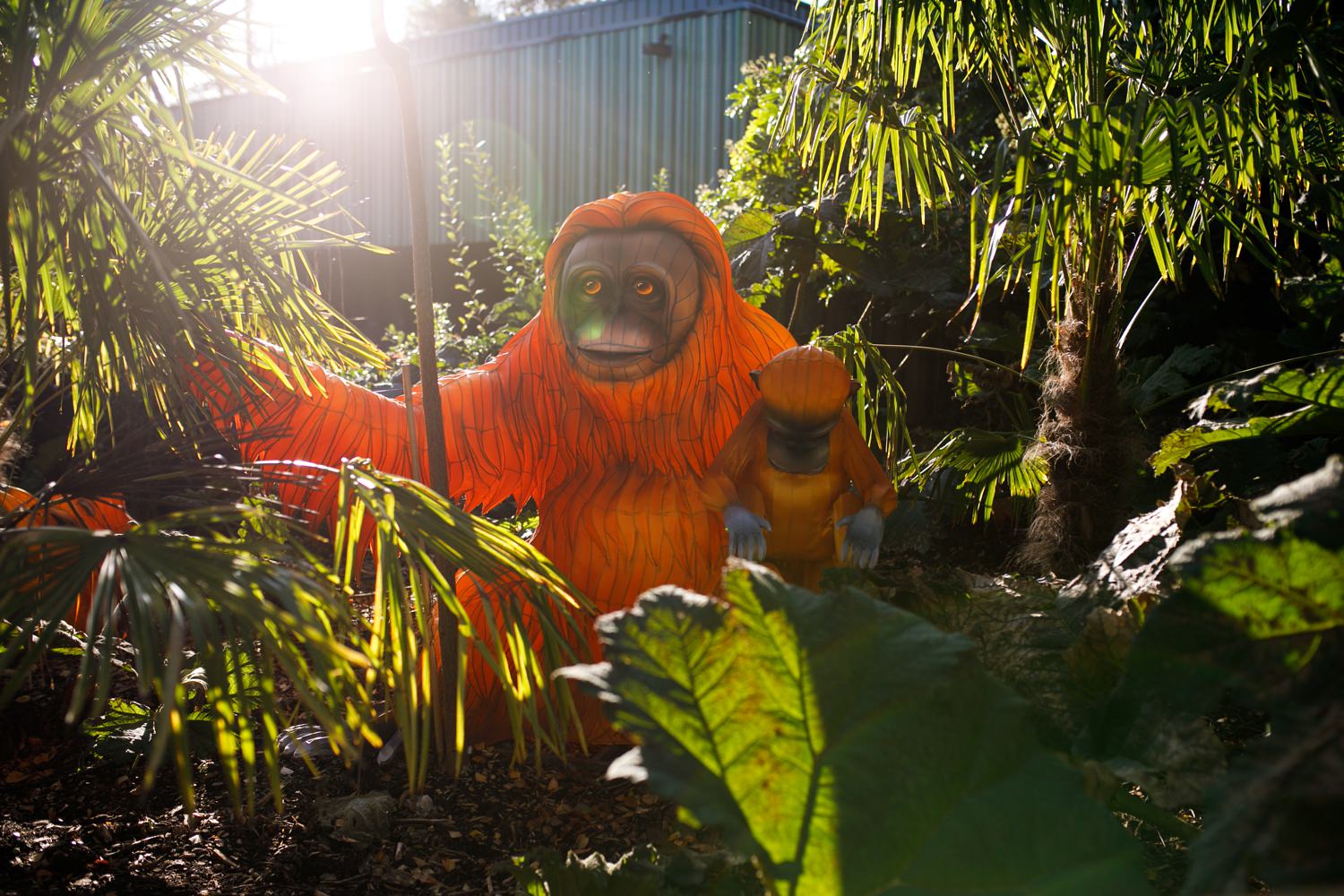 Dublin-Zoo-wedding-Elisha-Clarke-Photography_0134.jpg