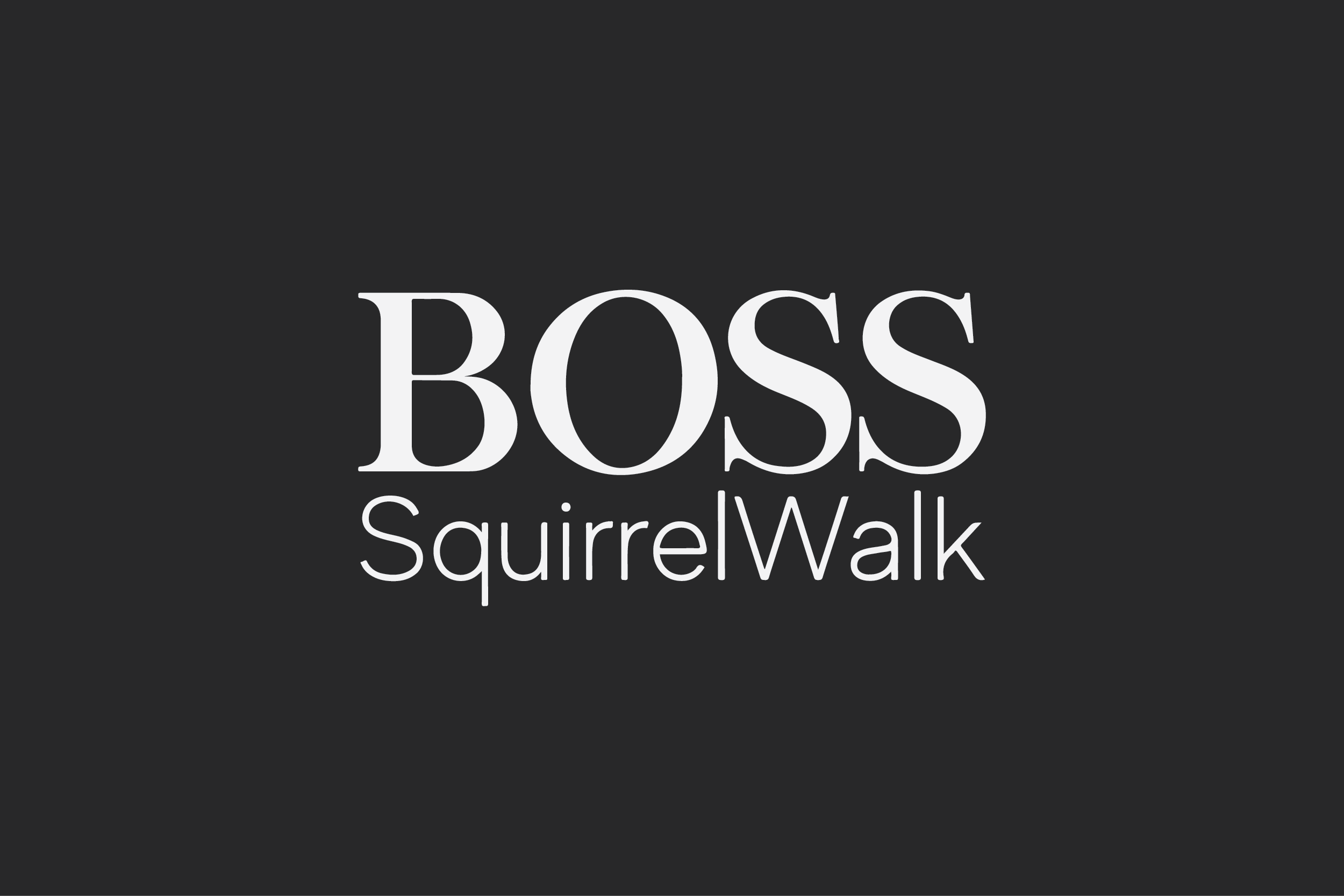 Hugo Boss Clothing Logo