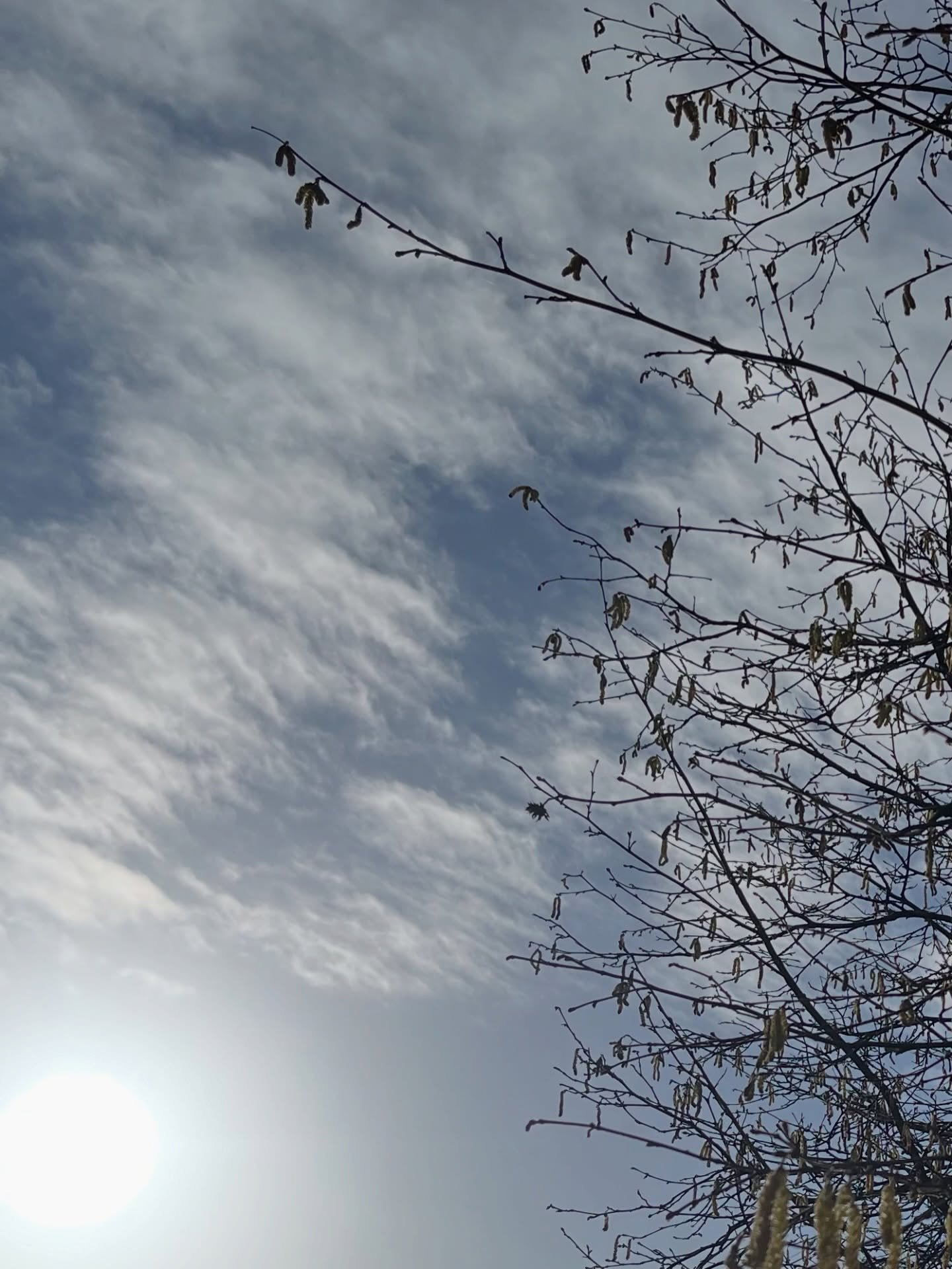 A little bit of nature every day - just a walk around the block on a grey day, when the sun is trying to peep through, makes all the difference. Sometimes it&rsquo;s a few miles, but more often it&rsquo;s been a short walk for us, an hour on the plot