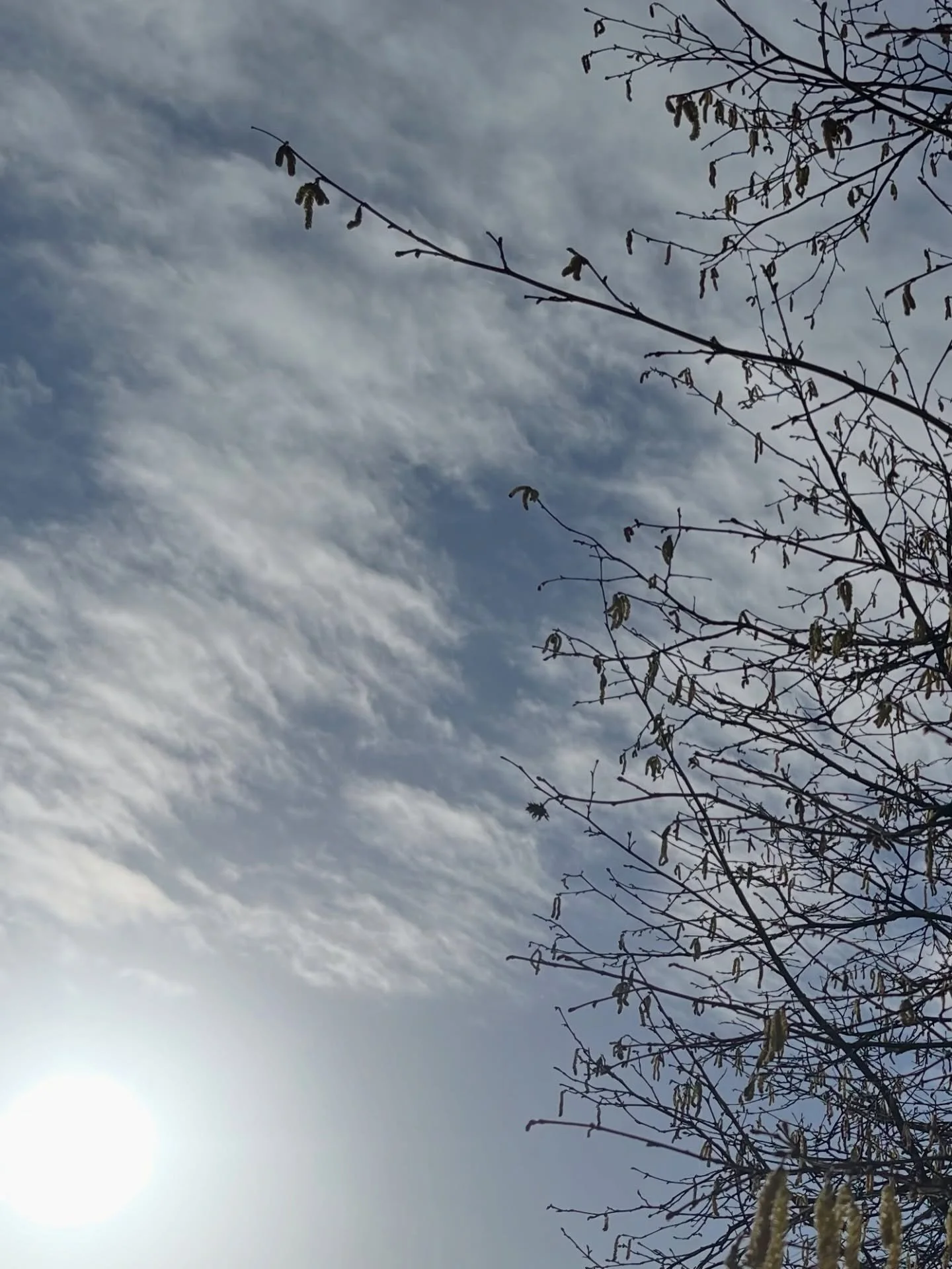 A little bit of nature every day - just a walk around the block on a grey day, when the sun is trying to peep through, makes all the difference. Sometimes it&rsquo;s a few miles, but more often it&rsquo;s been a short walk for us, an hour on the plot