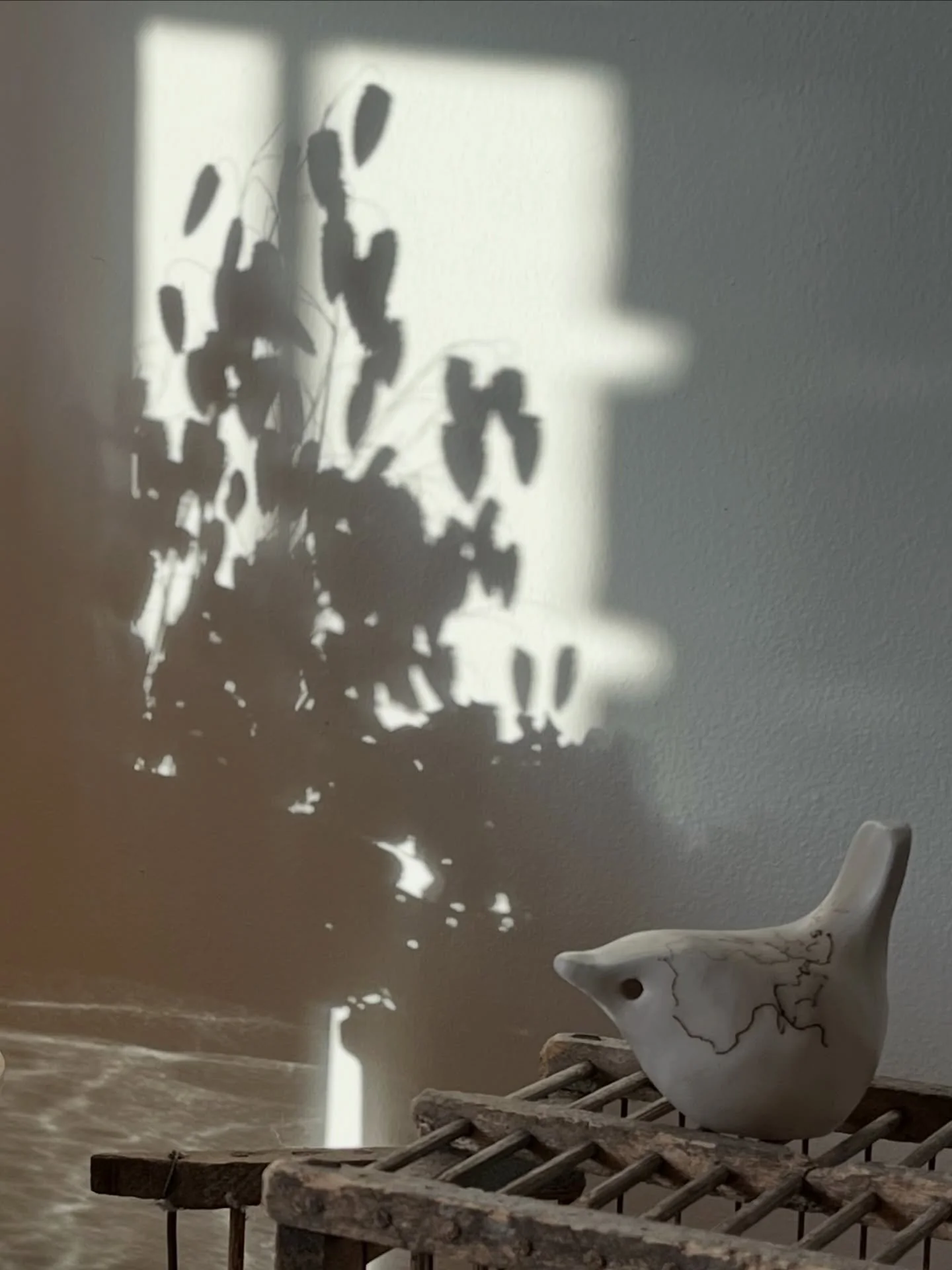 Easter Sunday evening - Just me enjoying the last sunlight shining on a few favourites, sitting on top of the old bureau.  In our simple home it&rsquo;s very much old or handmade.  Every room has it&rsquo;s fair share of seed heads too, these were fr