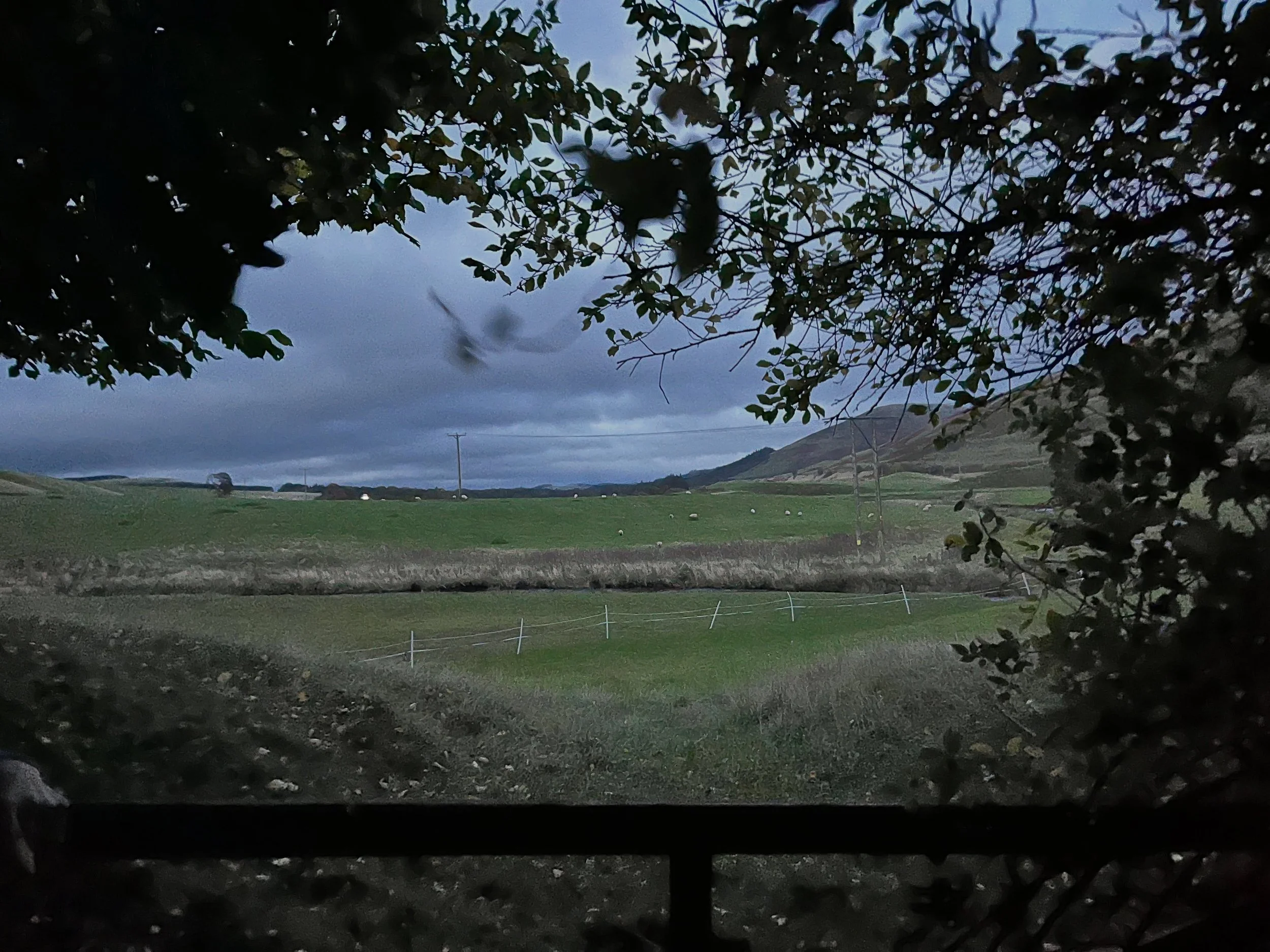 Road Trip - a trip to Scotland to say goodbye to a dear and much loved cousin/aunt who had been an important part of our family. A lovely simple service celebrating her happy, kind and caring personality and unfailing generosity of giving her time. W