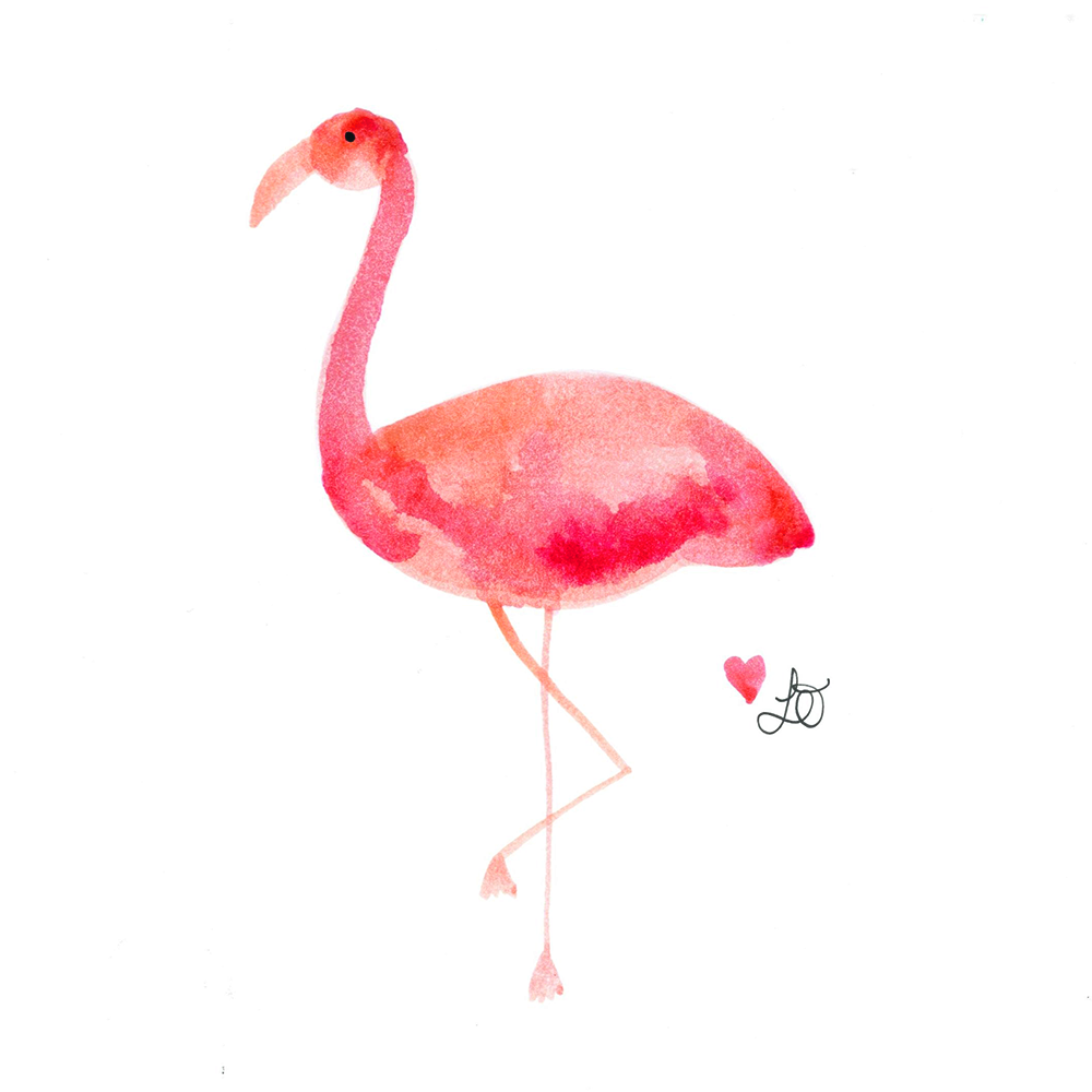 Graphic+flamingo.png