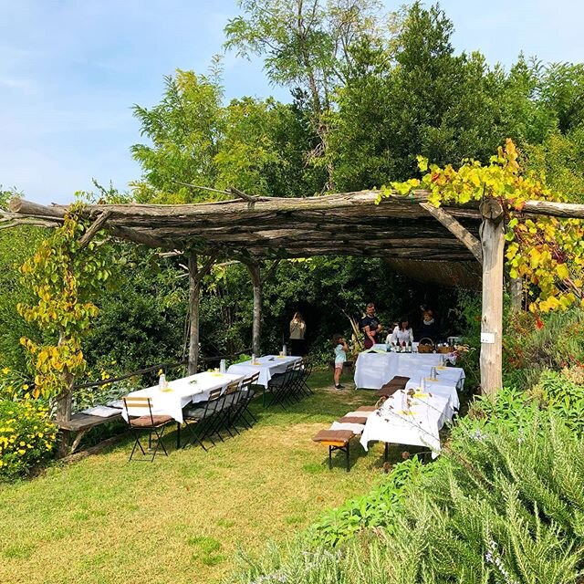 Up on a hillside overlooking the Adriatic, we visit an olive oil farm and learn all about the different varieties ans qualities of oil. The oils is delicious and the location is sublime. A spot at the table is waiting for you.
#slovenia #oliveoil #t