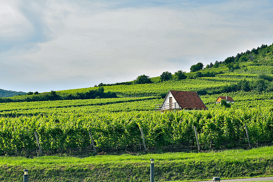 Taste Hungary Wine Tour - Tokaj vineyard house.png