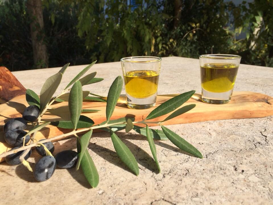 Gramona_olive oil shot glass.jpg