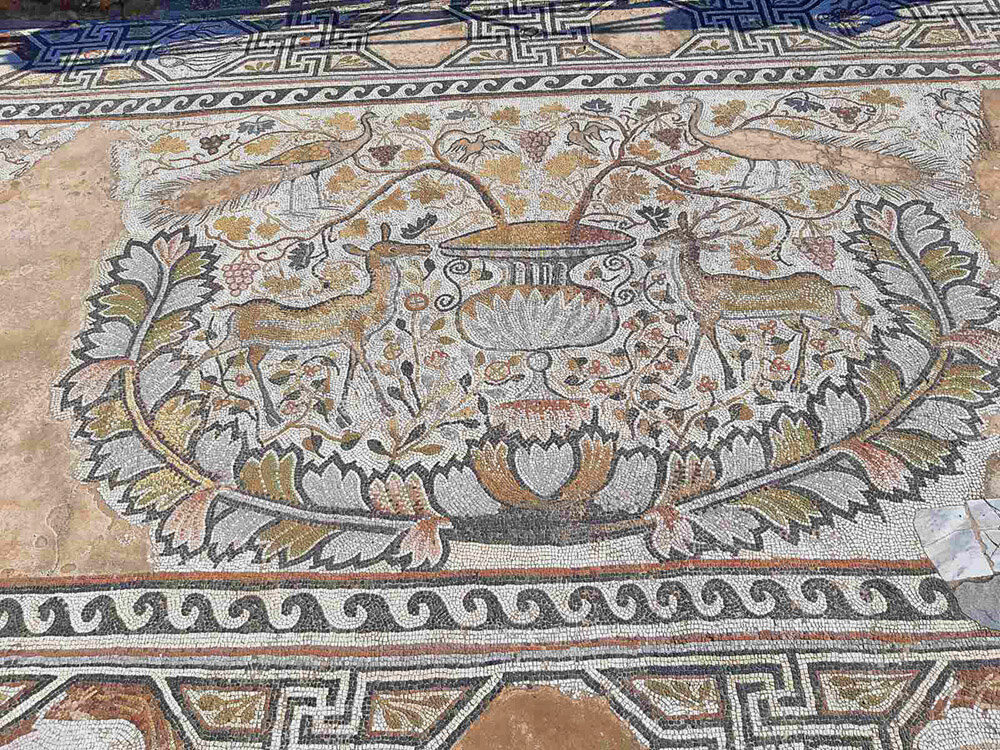 Heraclea-Lincestis-mosaics.jpg