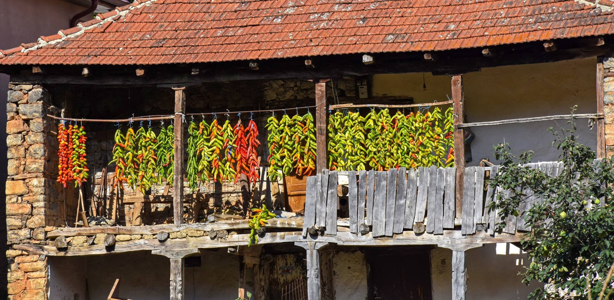 EM Balkan village peppers.jpg