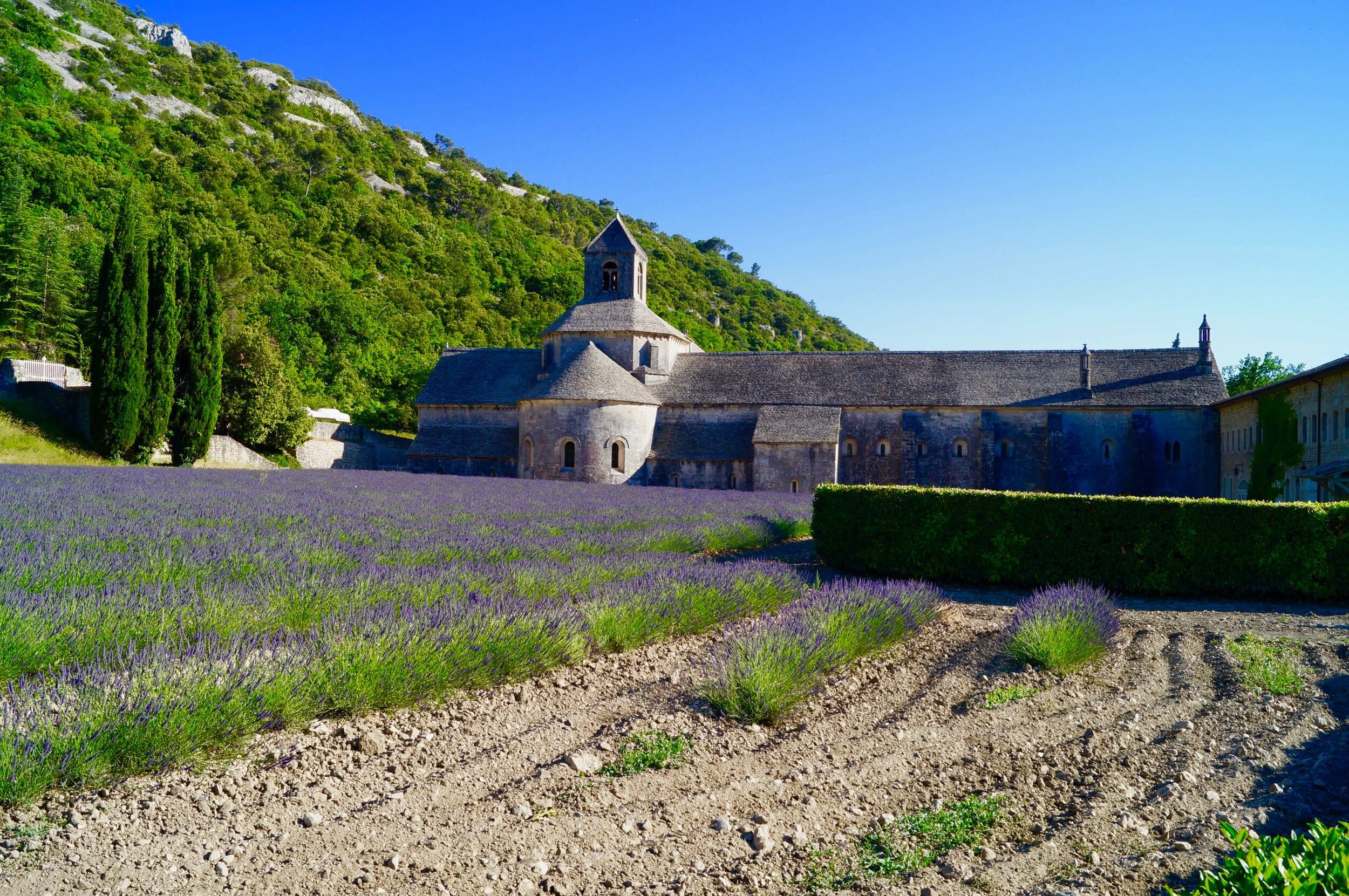 James Orr Provence Unsplash French Chataux set in beautiful Lavender fields in Provence.jpg