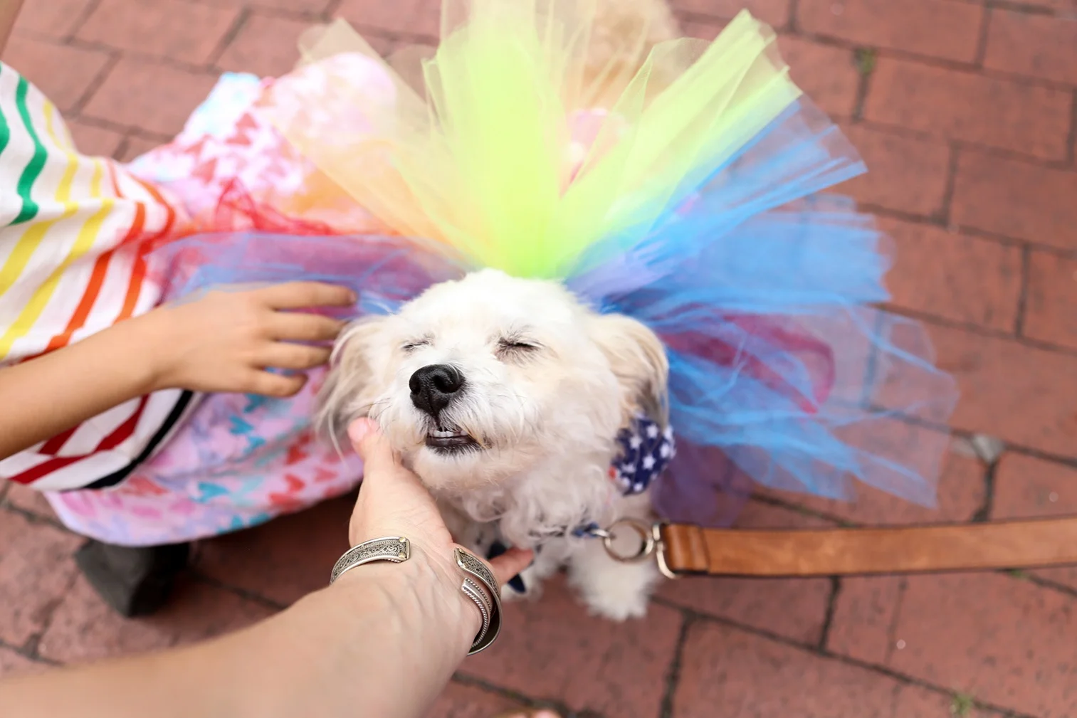 Pride2018_305_family peek.jpg