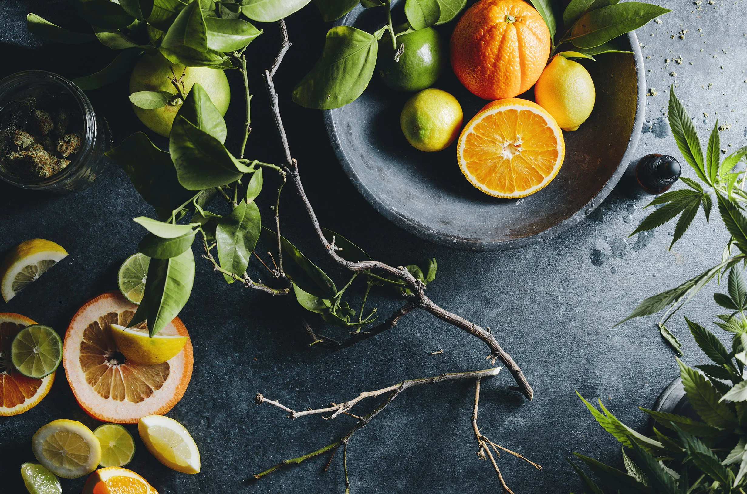 093_Citrus_18364_V1_final copy 2.jpg