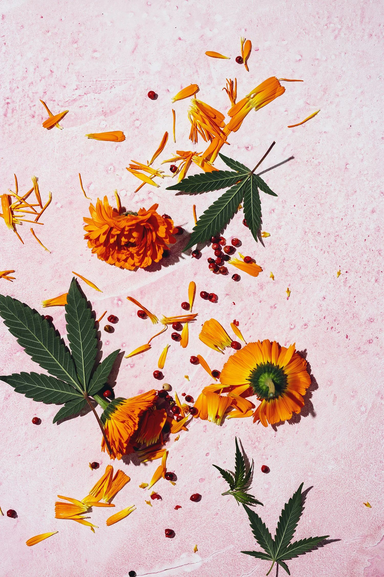 101_Extracts_0645_final copy.jpg