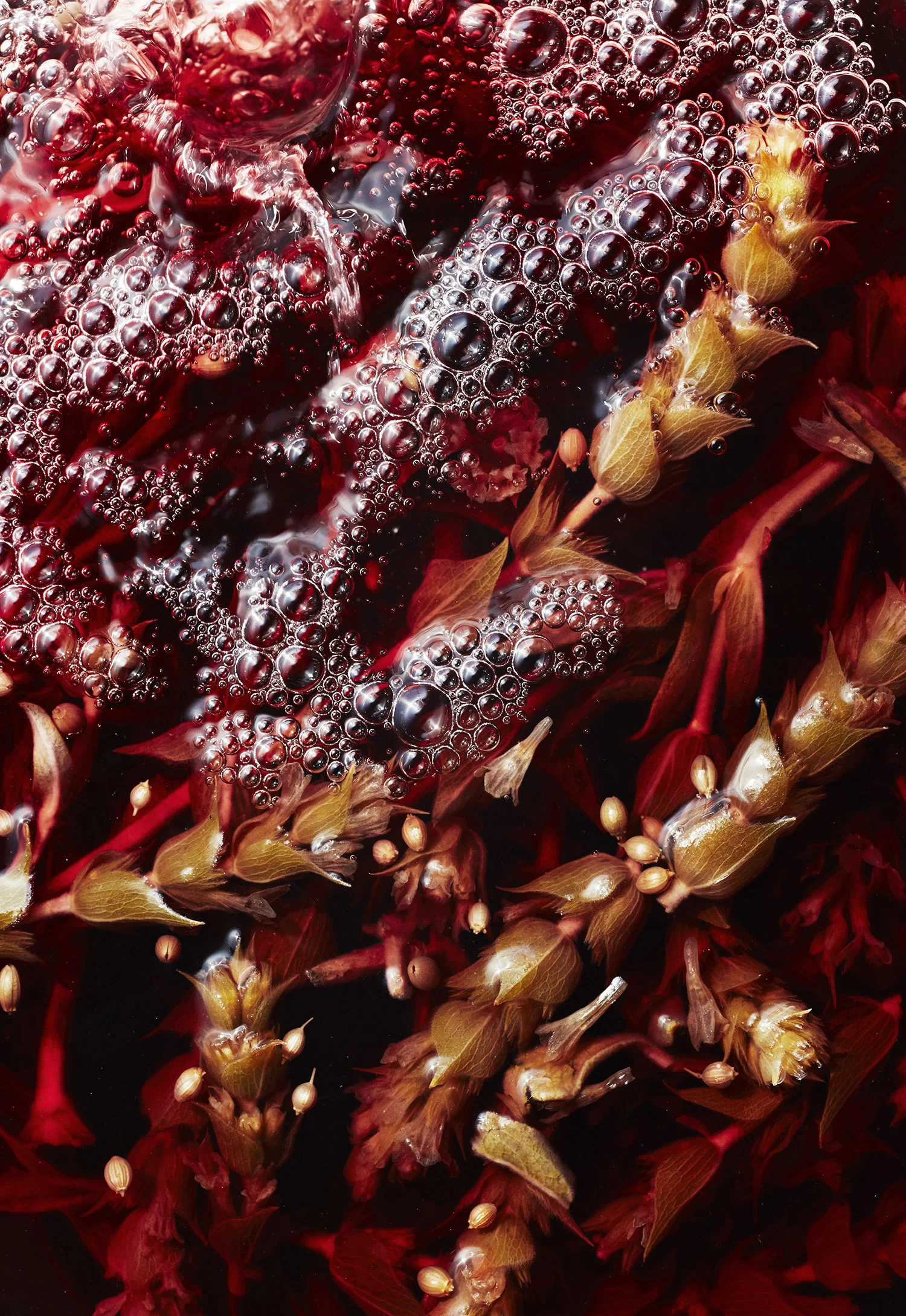 112_KT_Summer19_FoodAndBev_2949_final copy.jpg