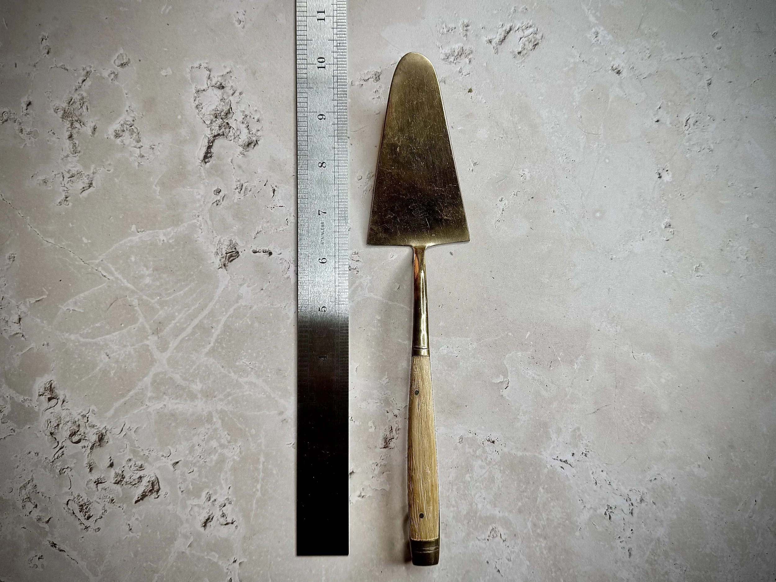 They All Want Cake 2.jpeg