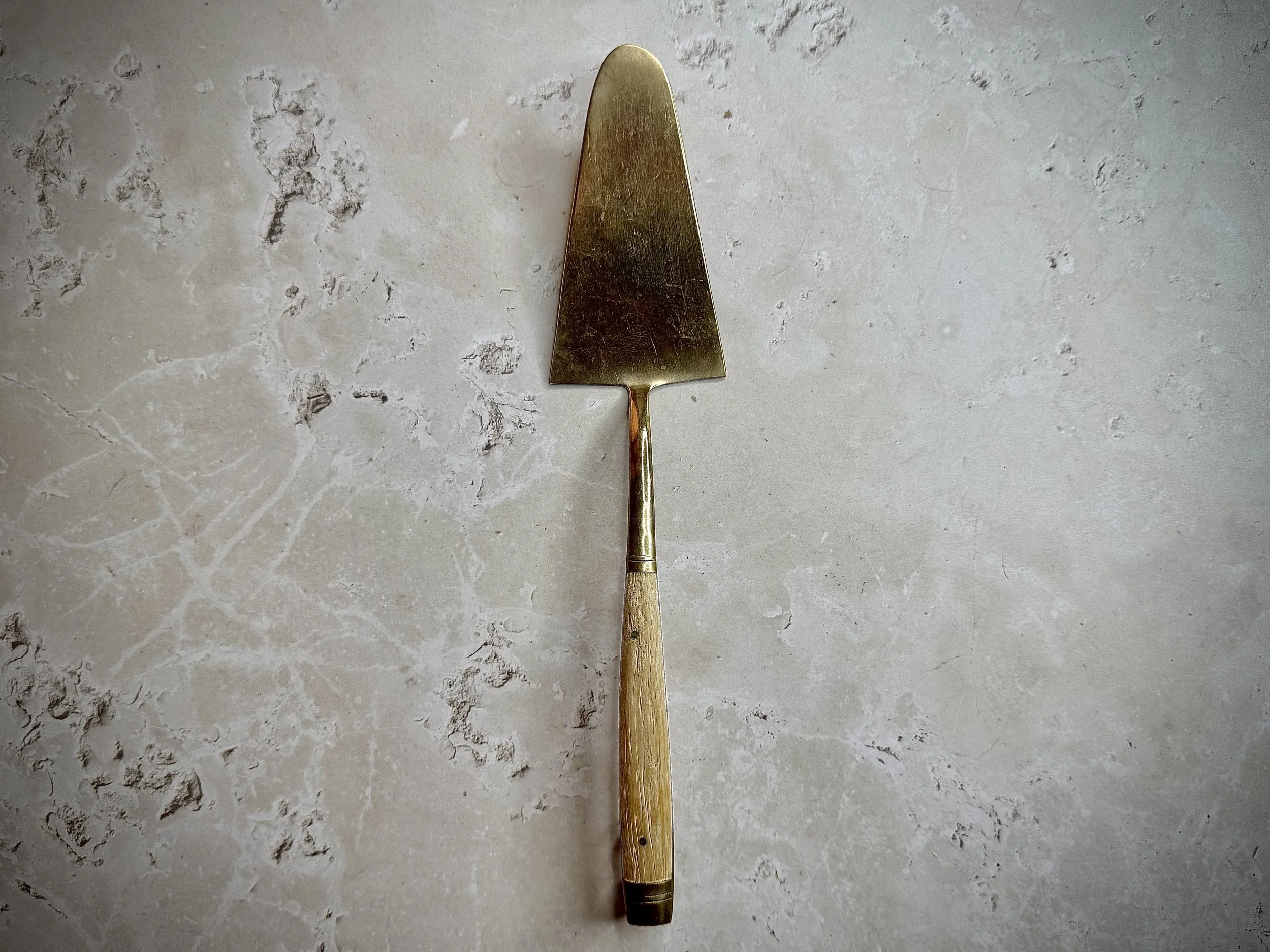 They All Want Cake 1  .jpeg