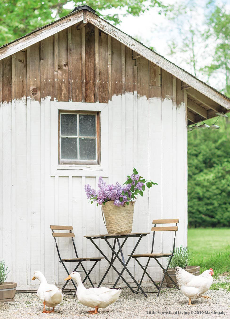 shed.jpg